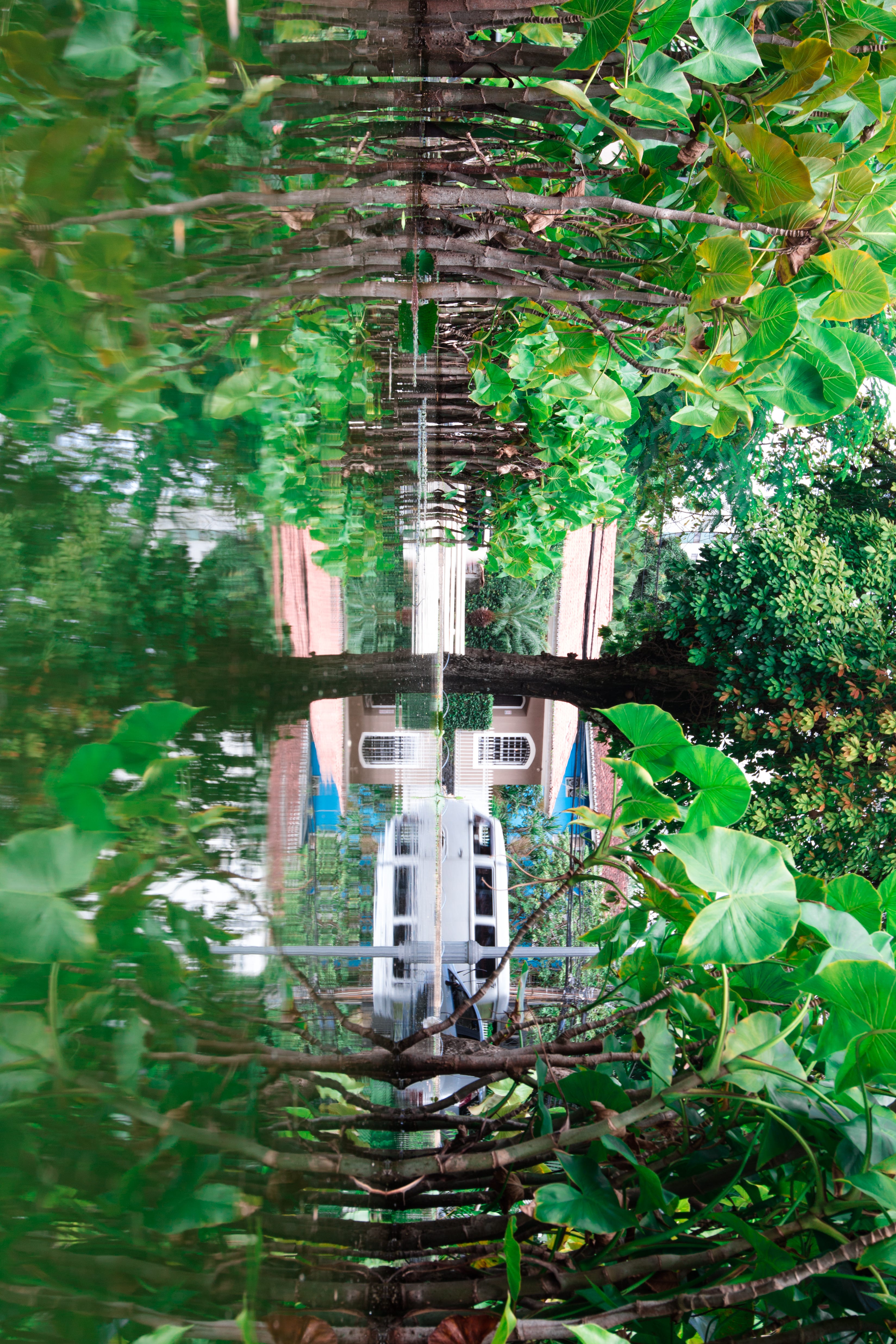 Crisálida: Escola de Narrativas Visuais