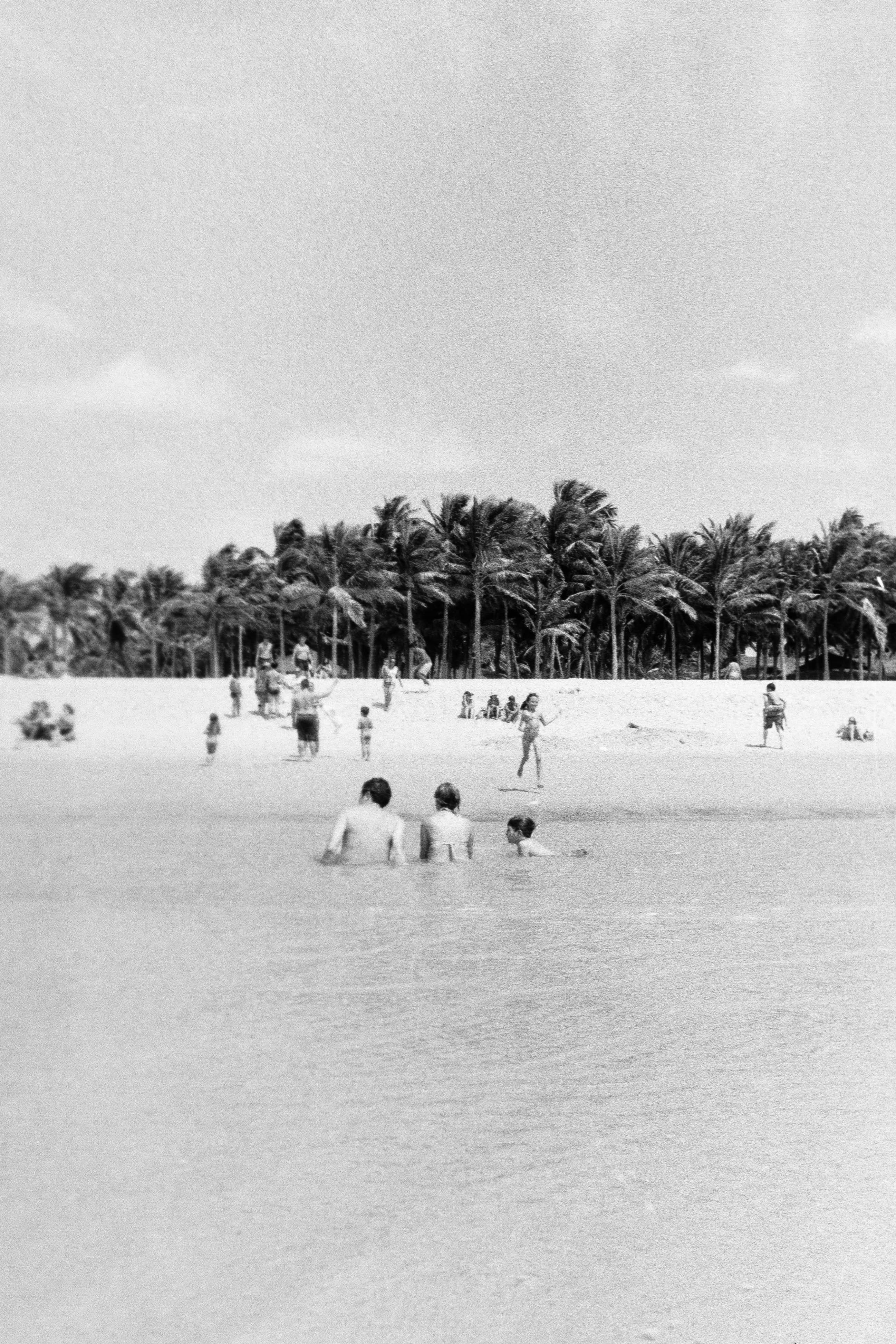 Crisálida: Escola de Narrativas Visuais