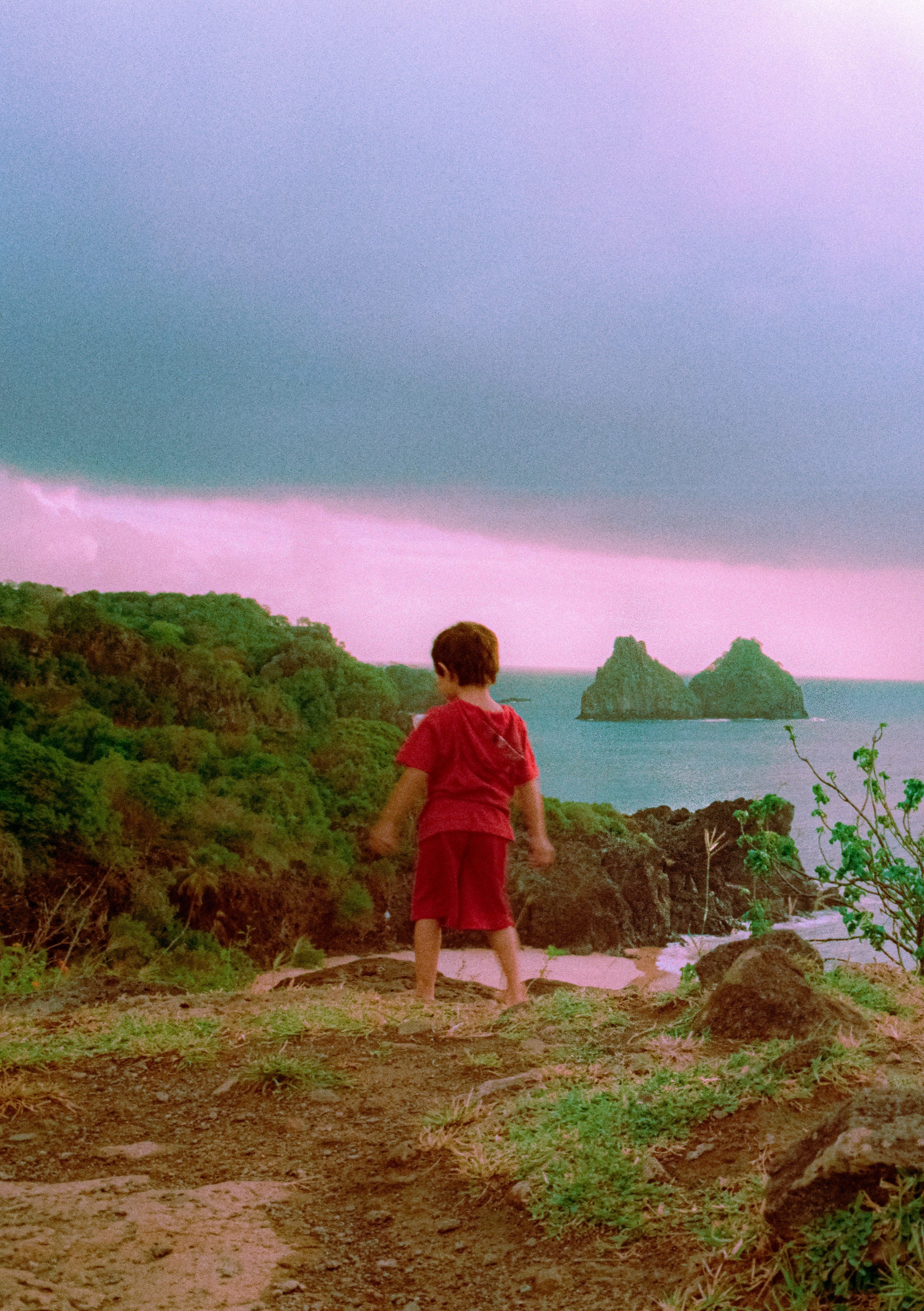 Crisálida: Escola de Narrativas Visuais