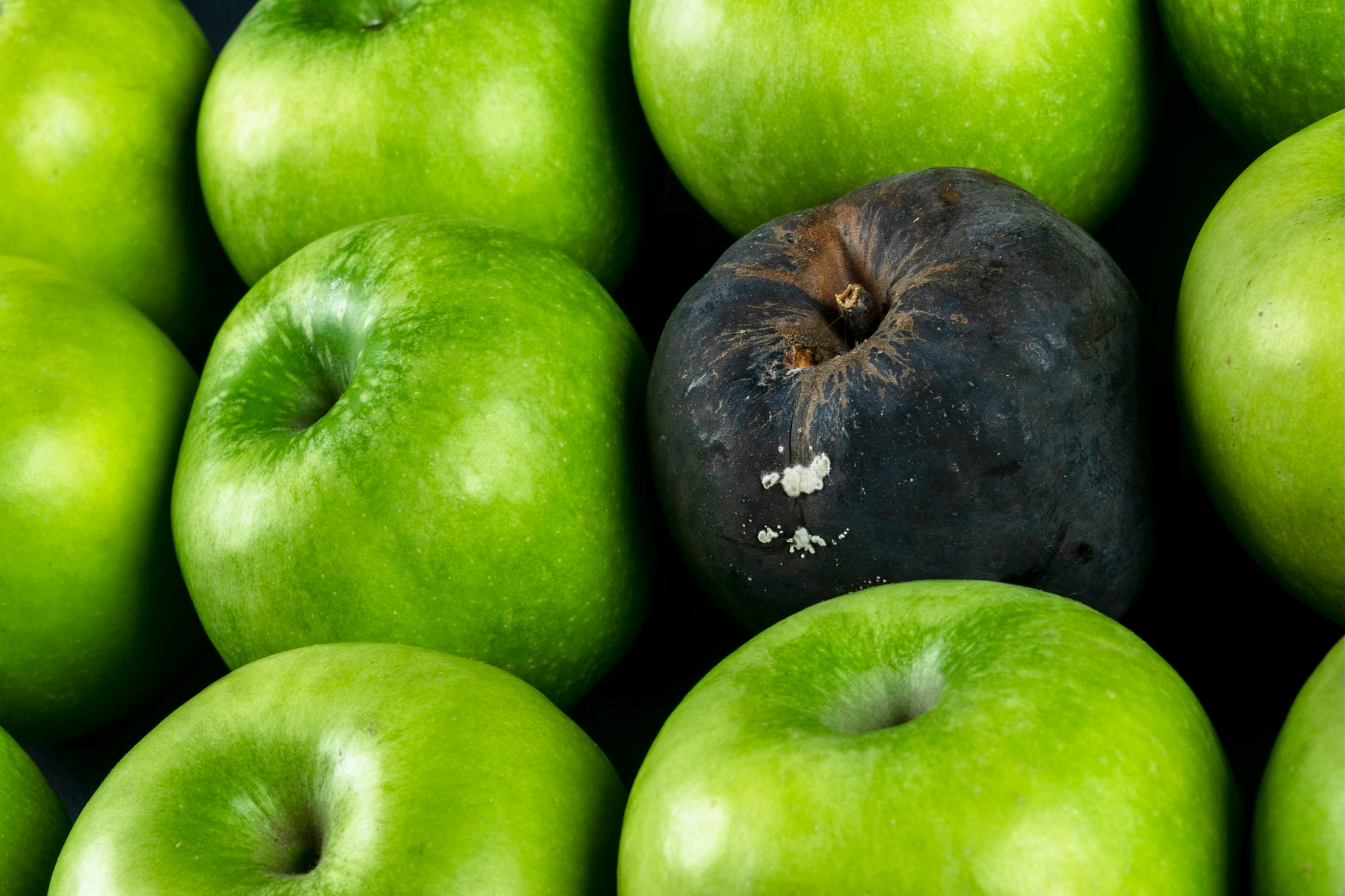 Building a Workplace Culture That Attracts, Engages and Retains – Getting the people bit right