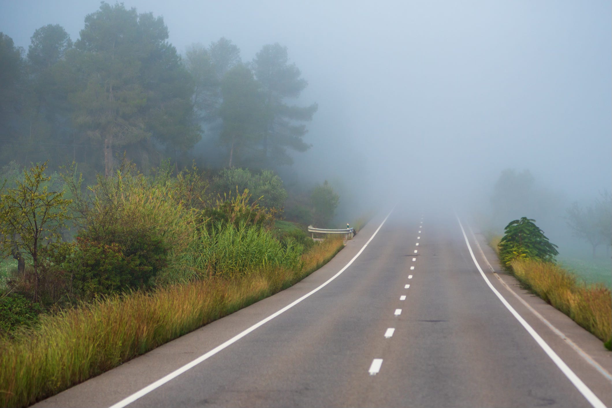 Unfogging Fibromyalgia
