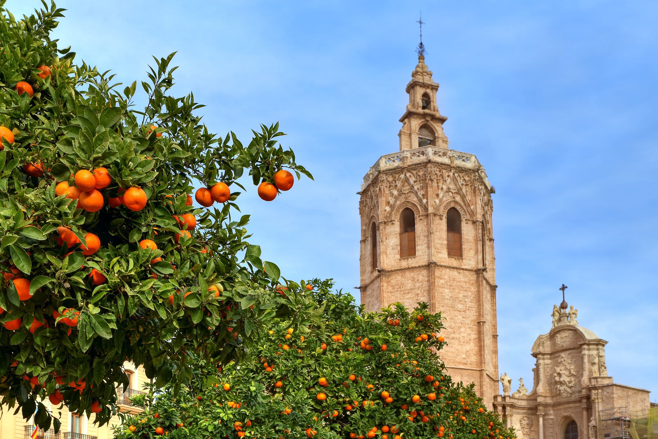 What's Spanish for 'nice'? - Editorial - MSKMag Issue 29