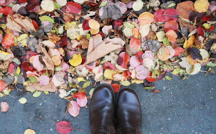 Five Ideas for Practicing Gratitude. {#3} episode artwork