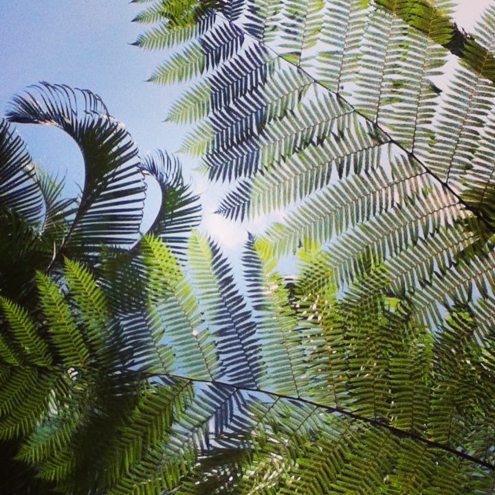 Finding a Sanctuary in Nature. My Biggest inspiration for my art.(Podcast #9). episode artwork