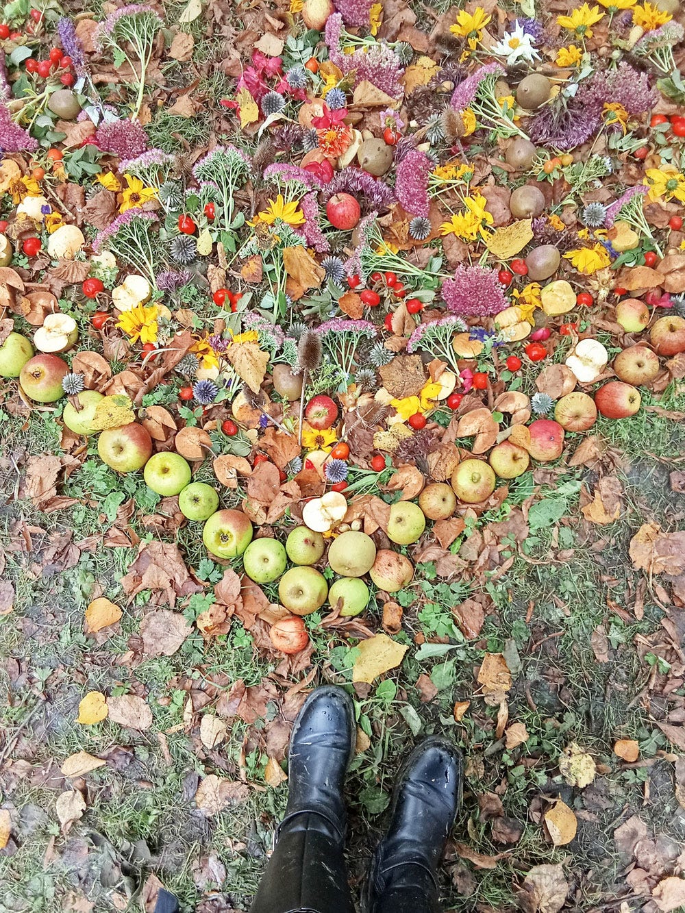 Studio News & 10 Creative Ways to Reconnect to Nature this Autumn (Podcast #15)  episode artwork