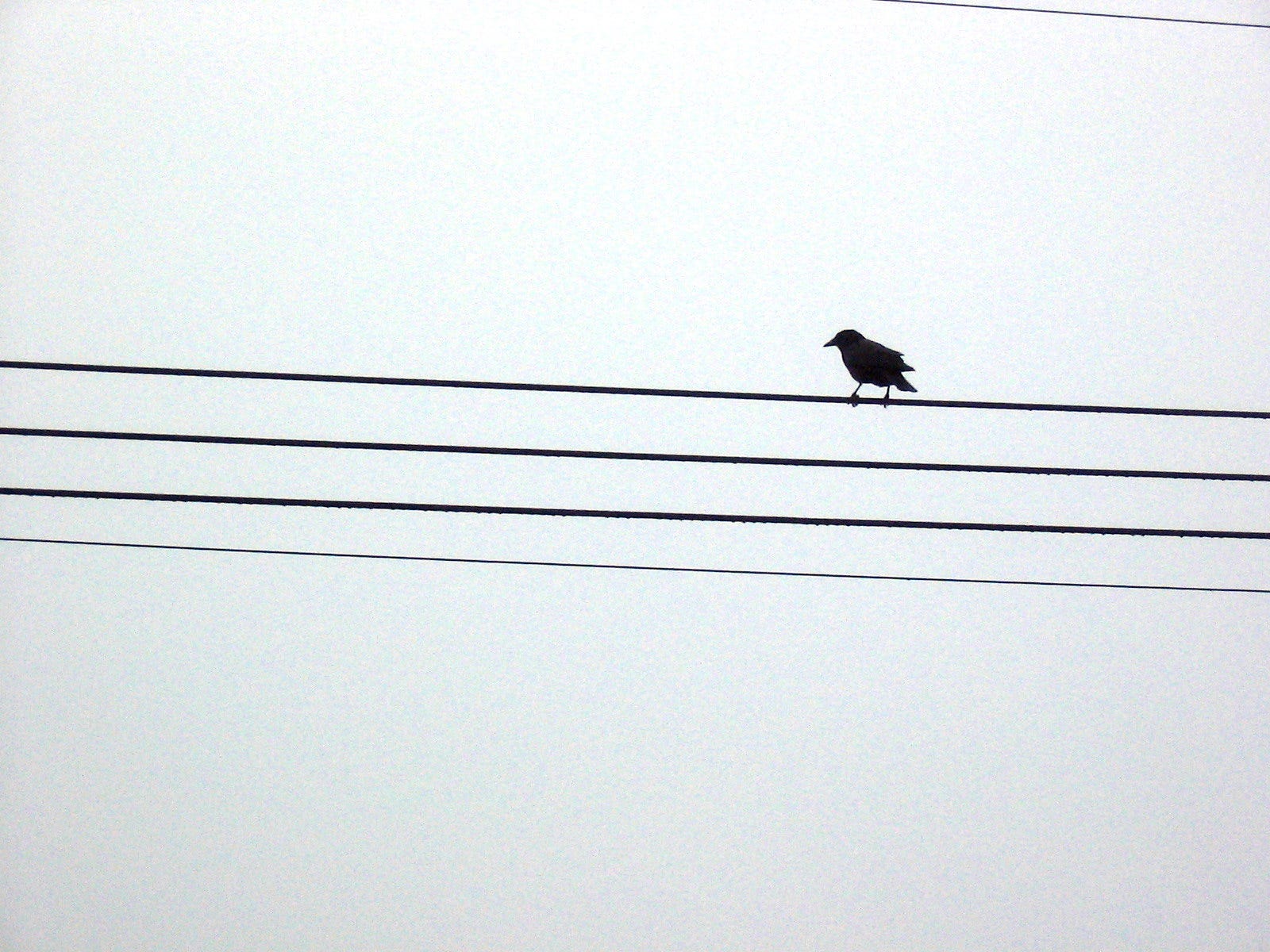 Confluence Formation