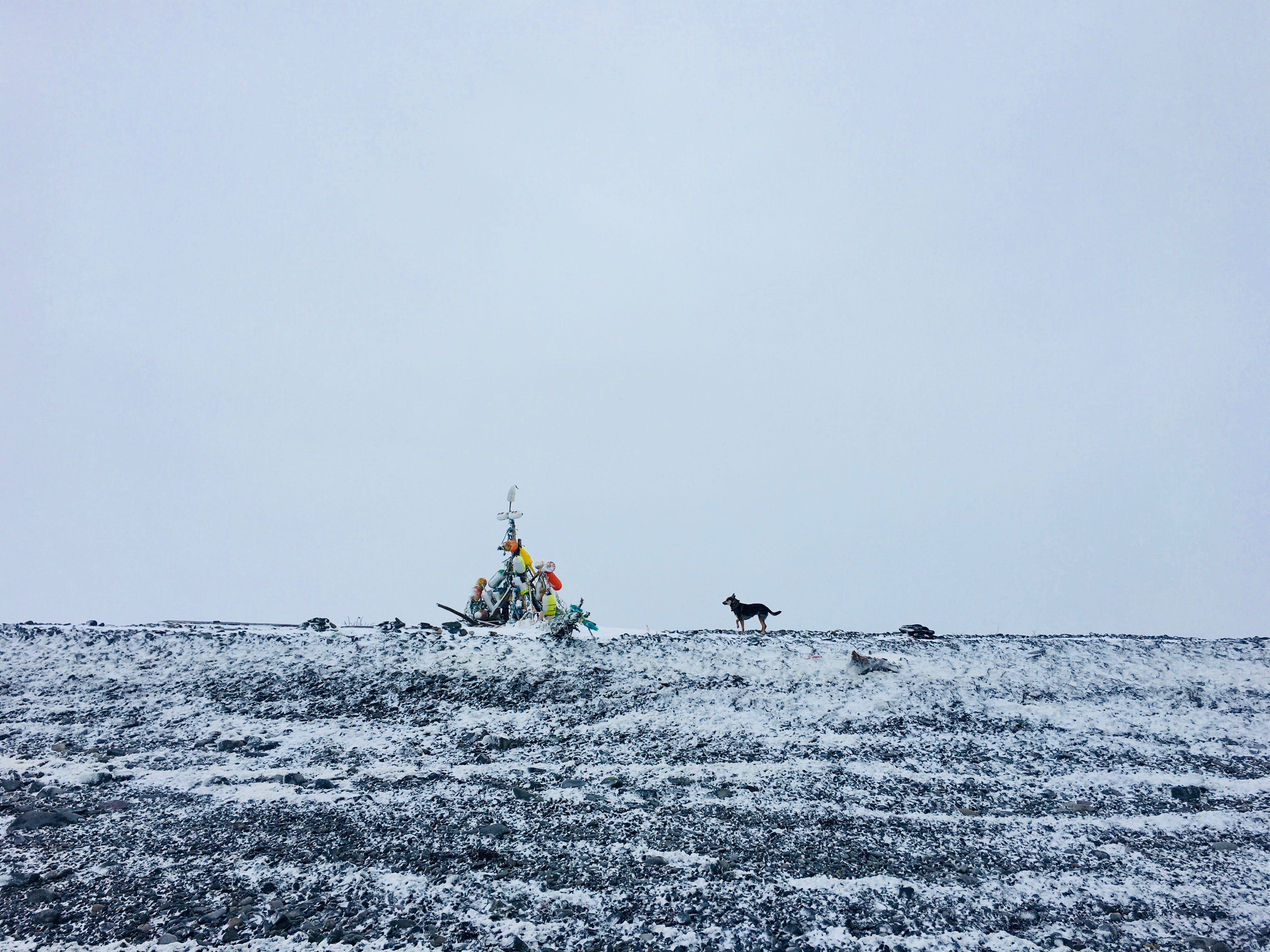 Confluence Formation