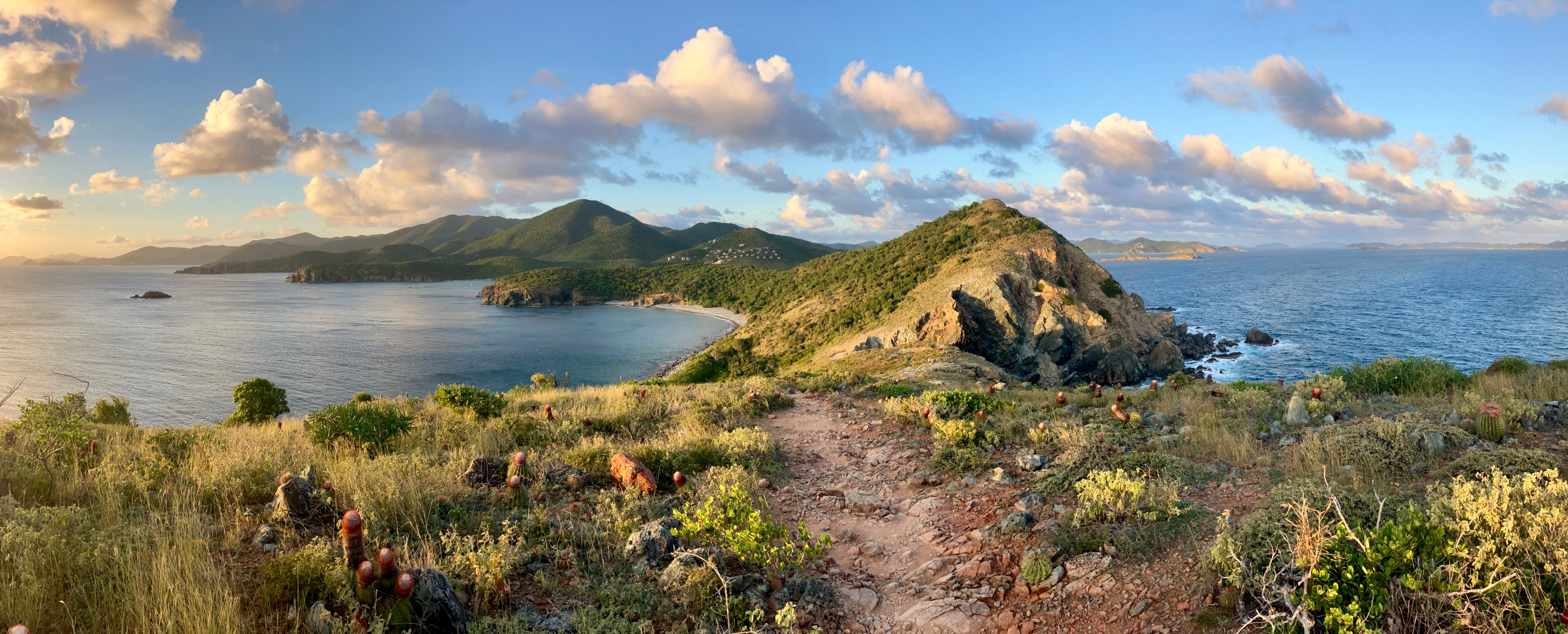 Confluence Formation