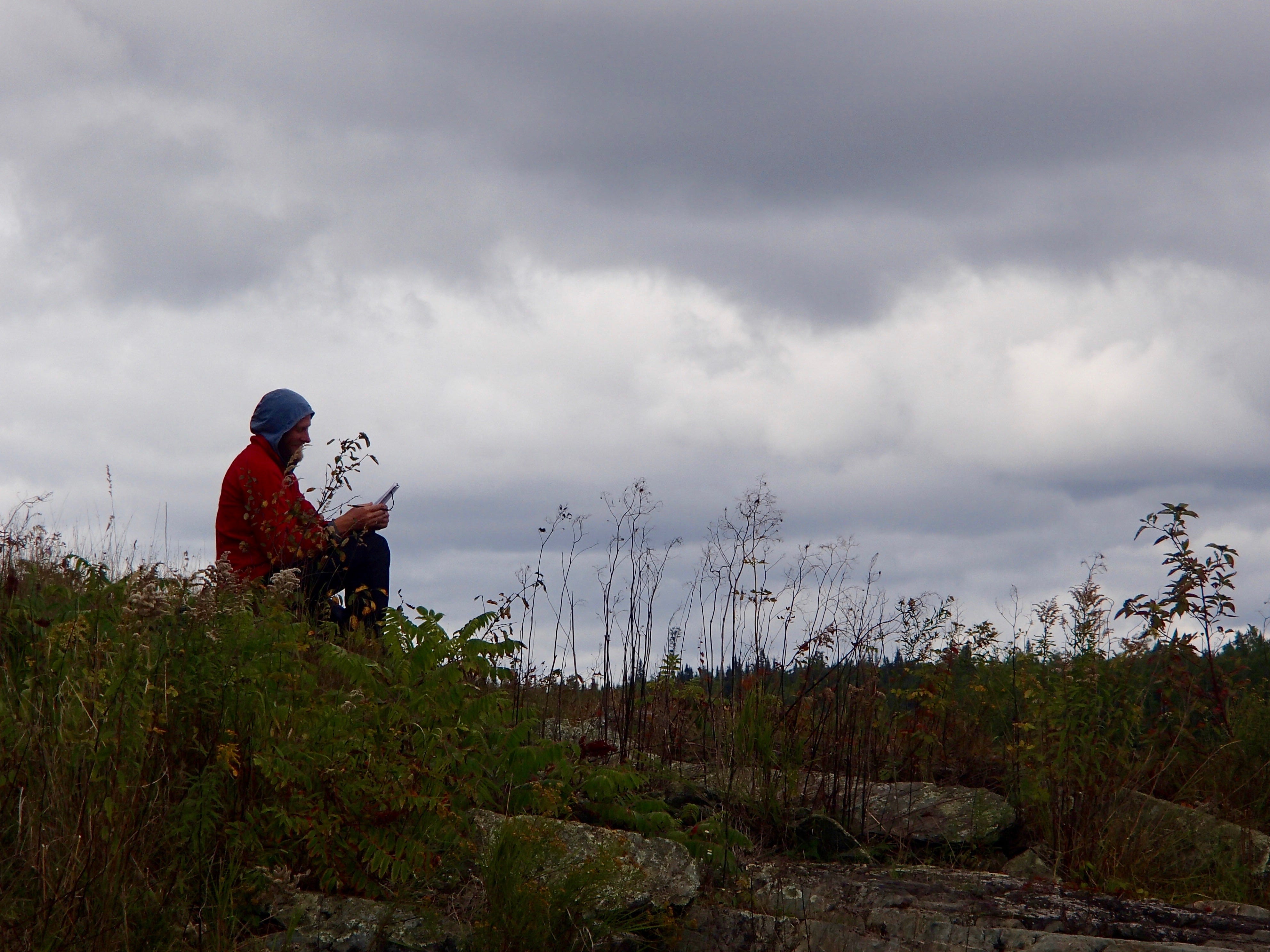 Confluence Formation