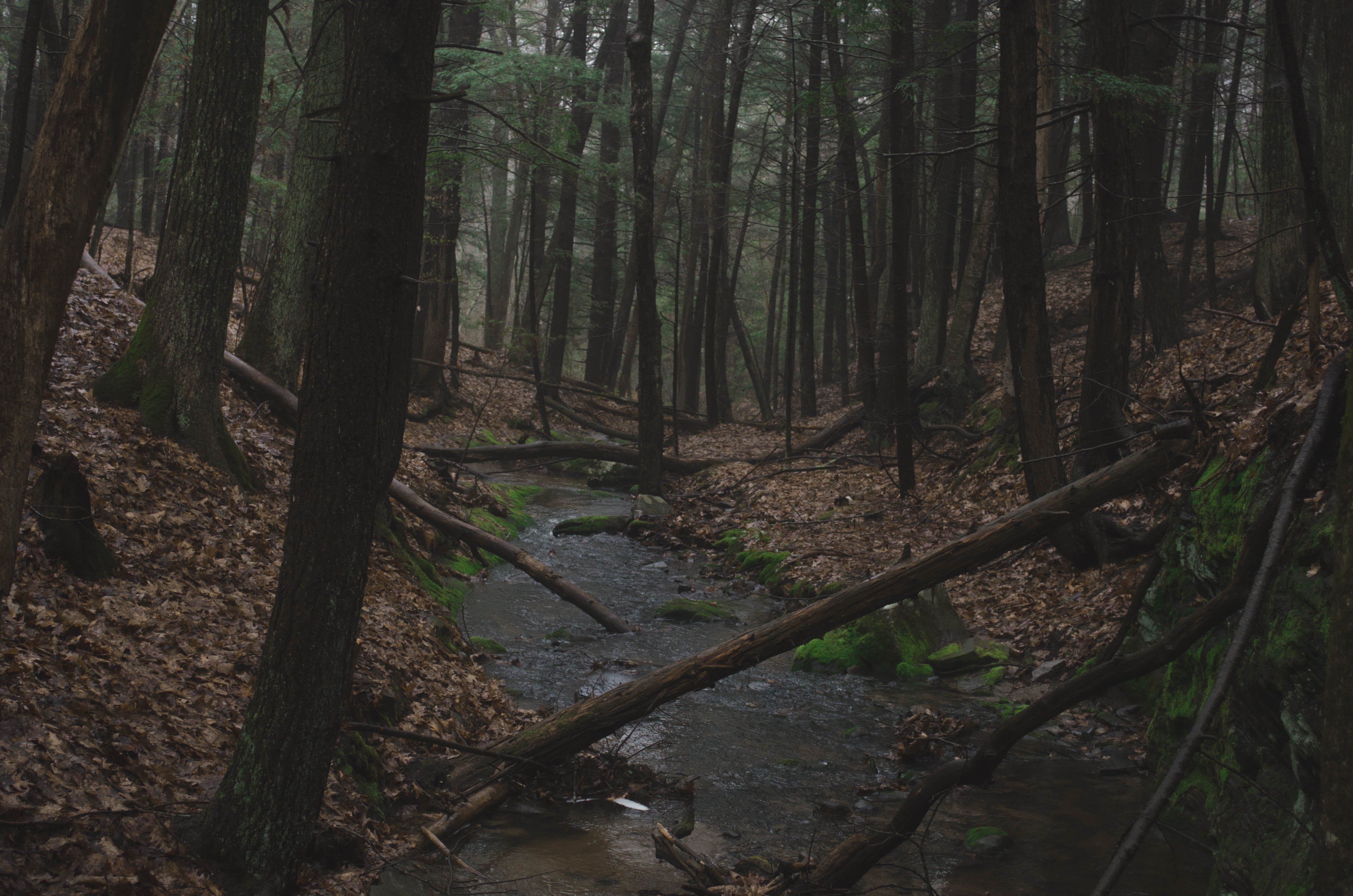 Confluence Formation