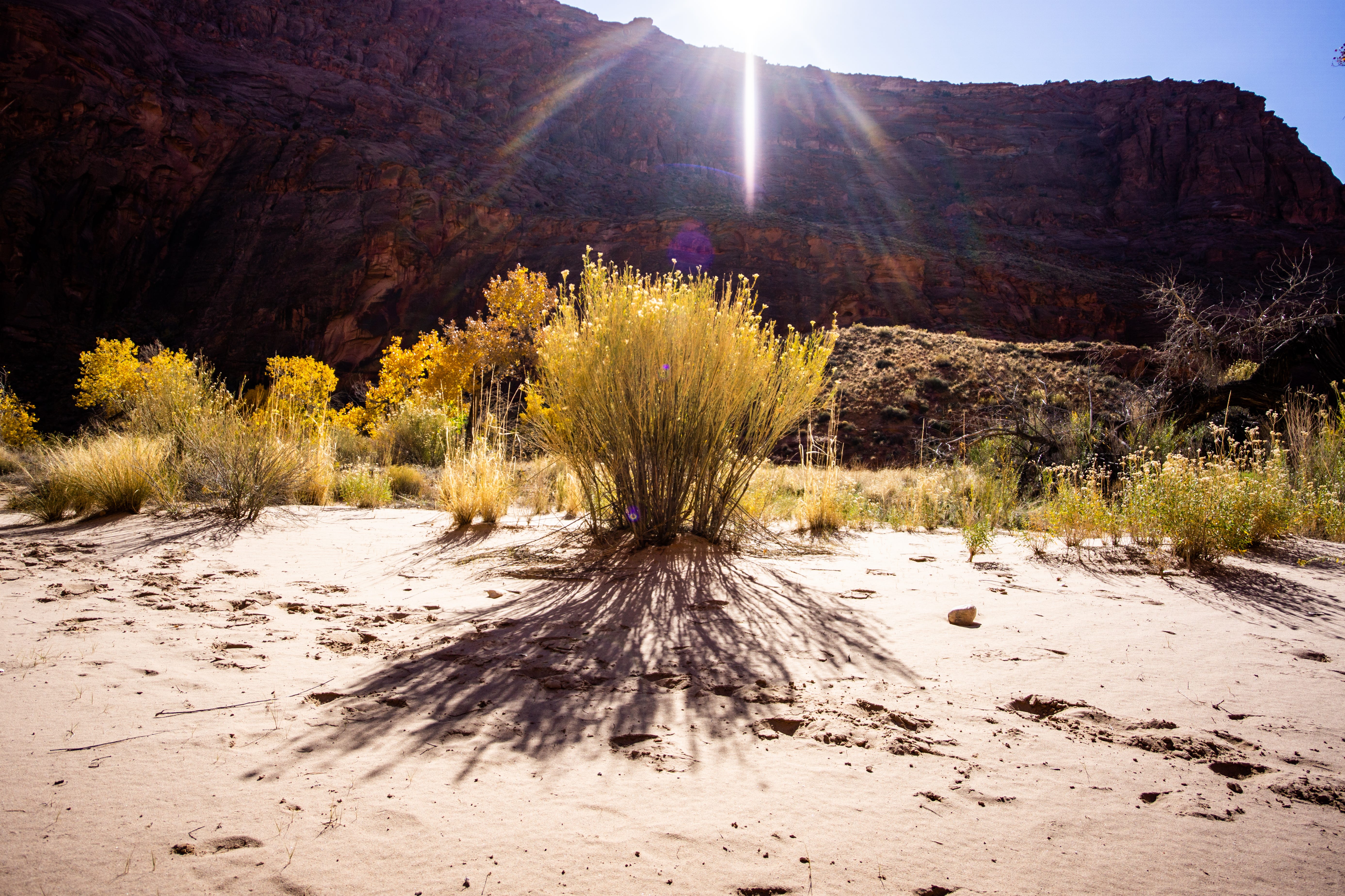 Confluence Formation
