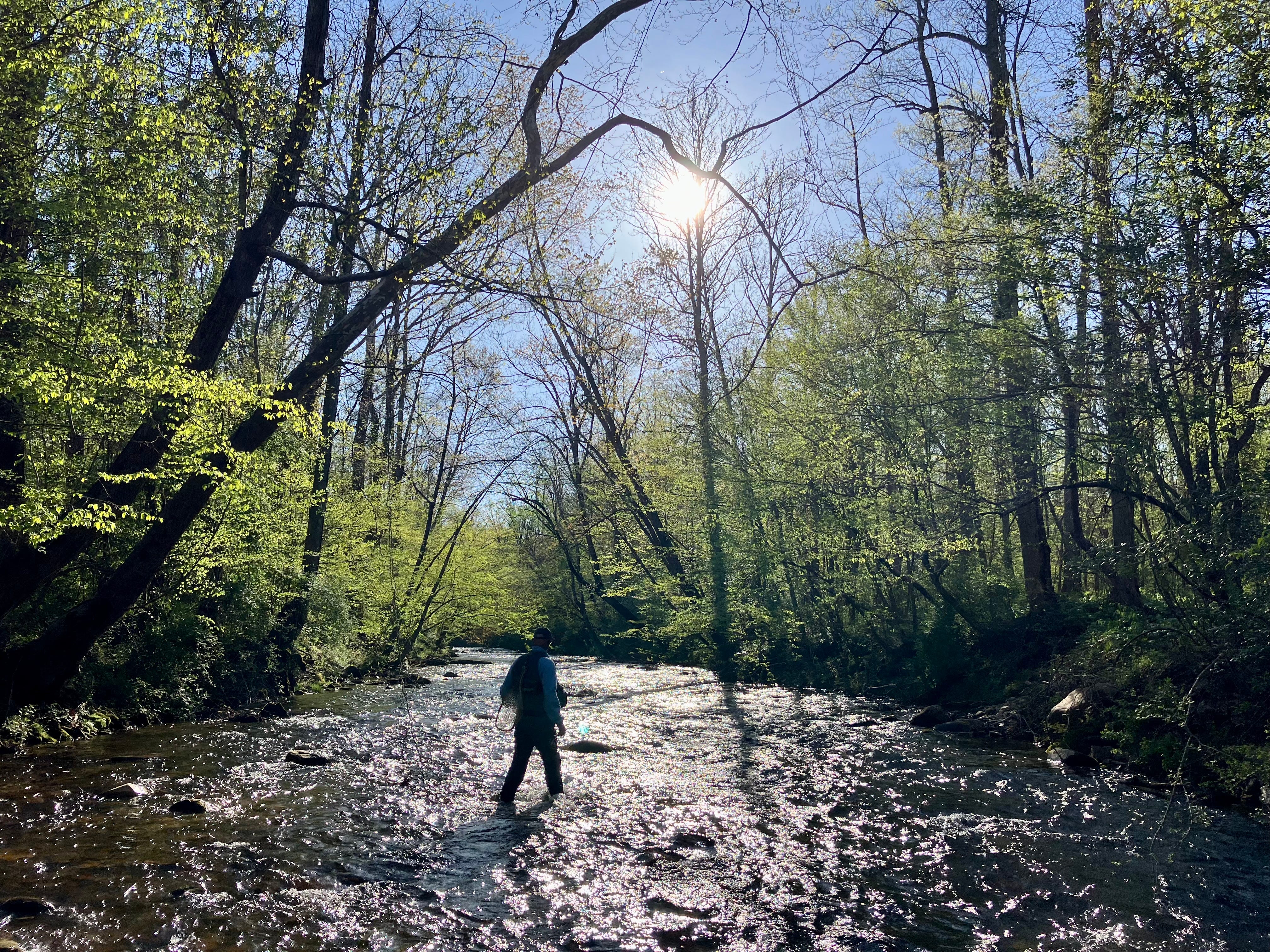 Confluence Formation