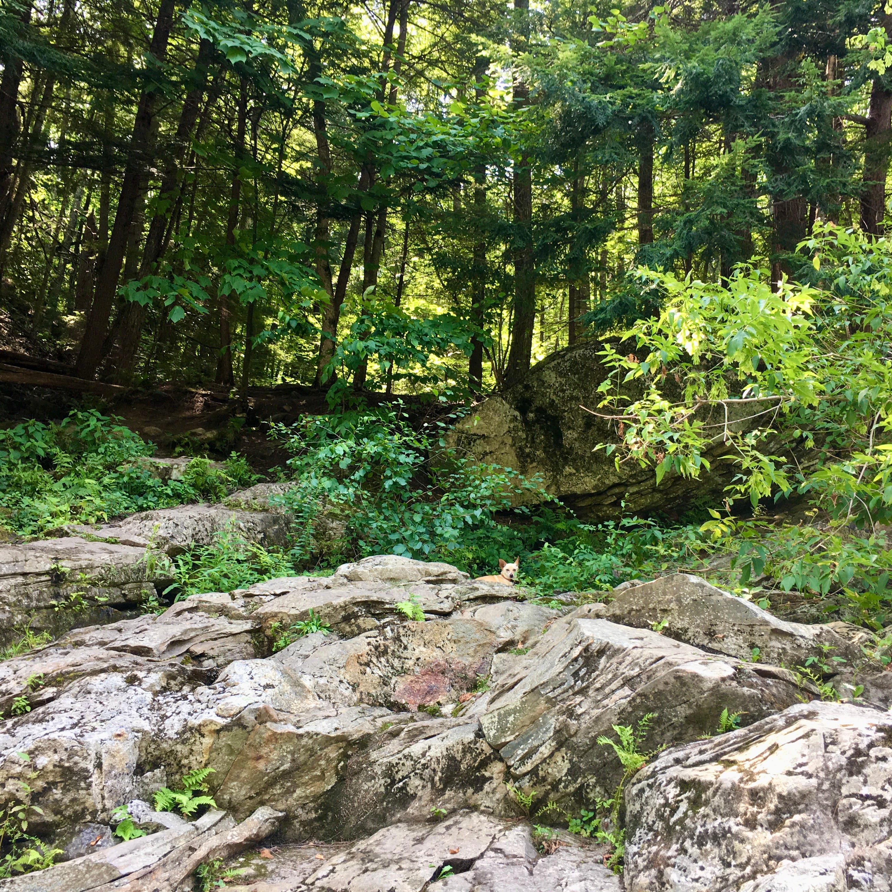 Confluence Formation