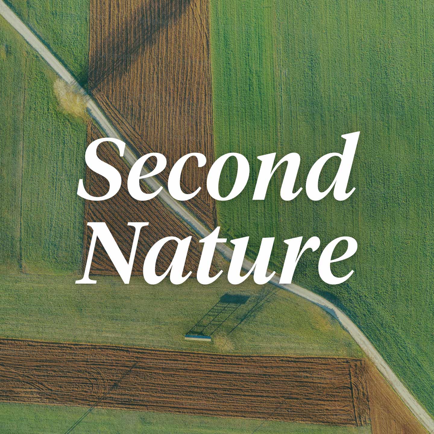 Second Nature