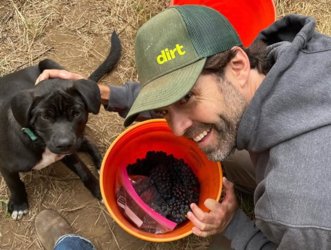 PODCAST: Terroir or Test Tubes? The Truth About What's In Wine