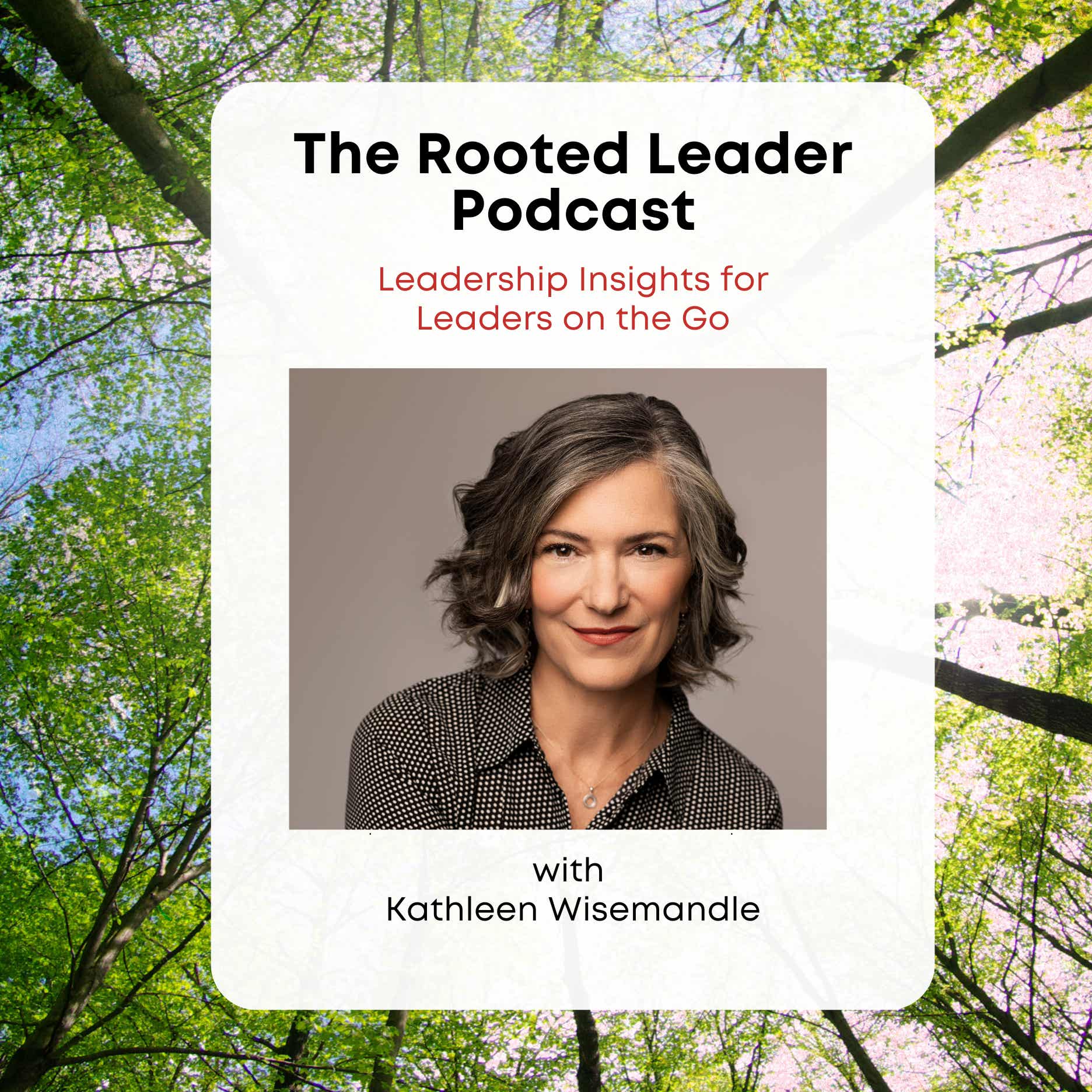 The Rooted Leader - Minisodes for Leaders on the Go