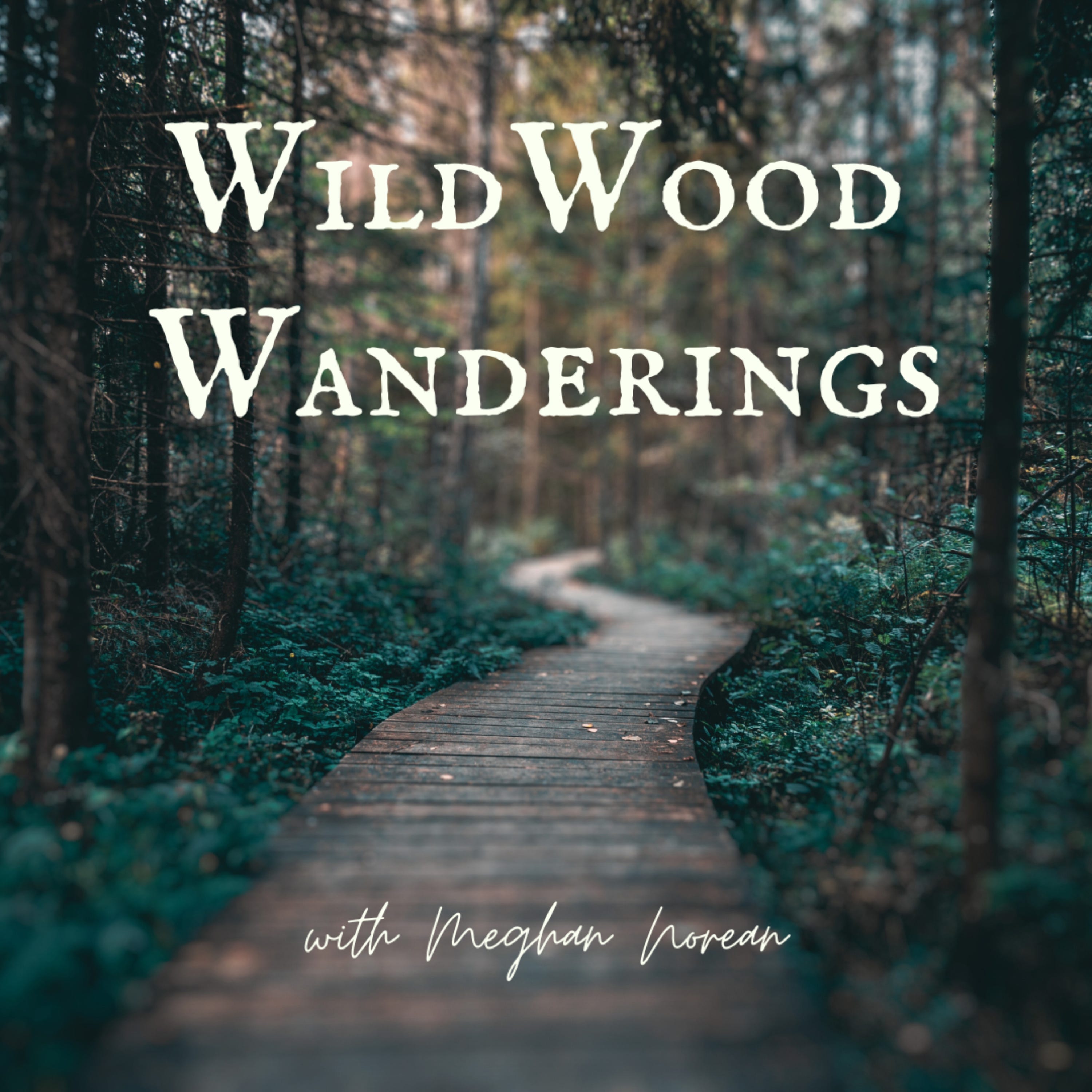 WildWood Wanderings