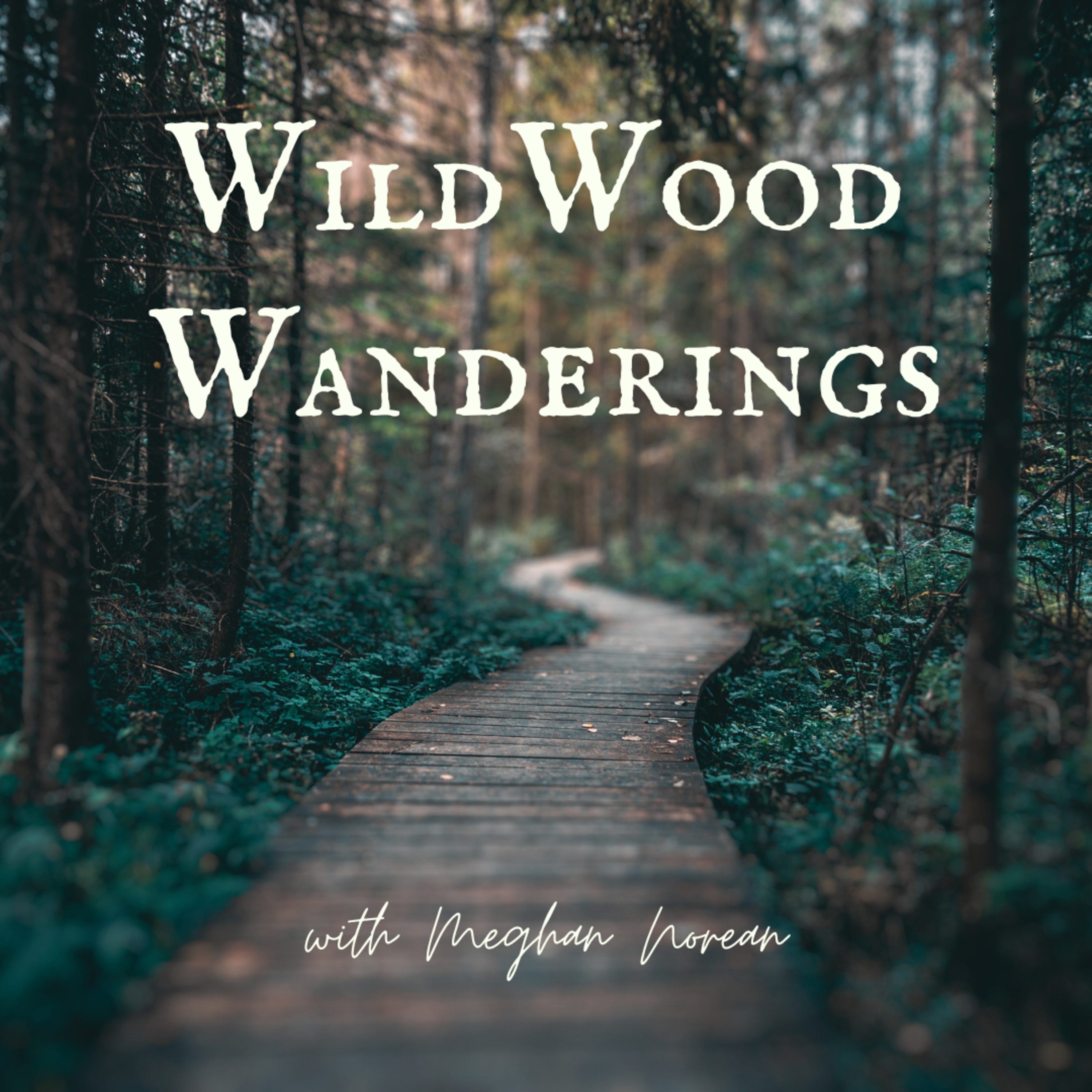 WildWood Wanderings