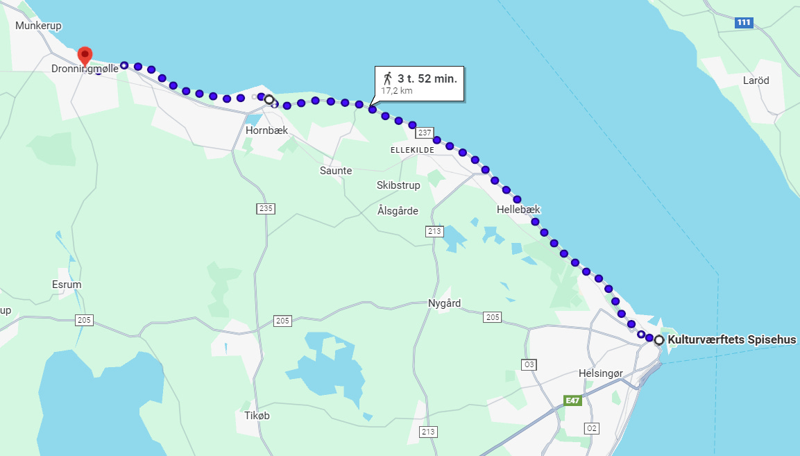 Nytårskur - Vandretur fra Helsingør til Dronningmølle