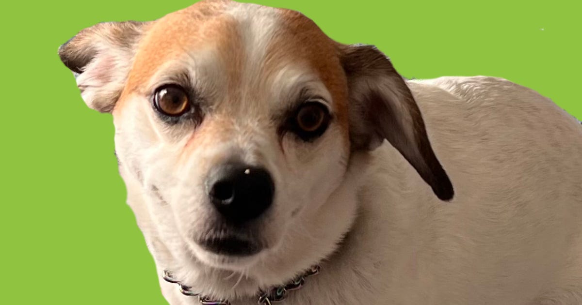 Pickles and Vodka: a Mental Health Podcast