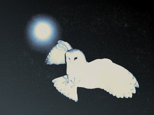 ✧ ALTAR OF STARS ✧ with Teagan West