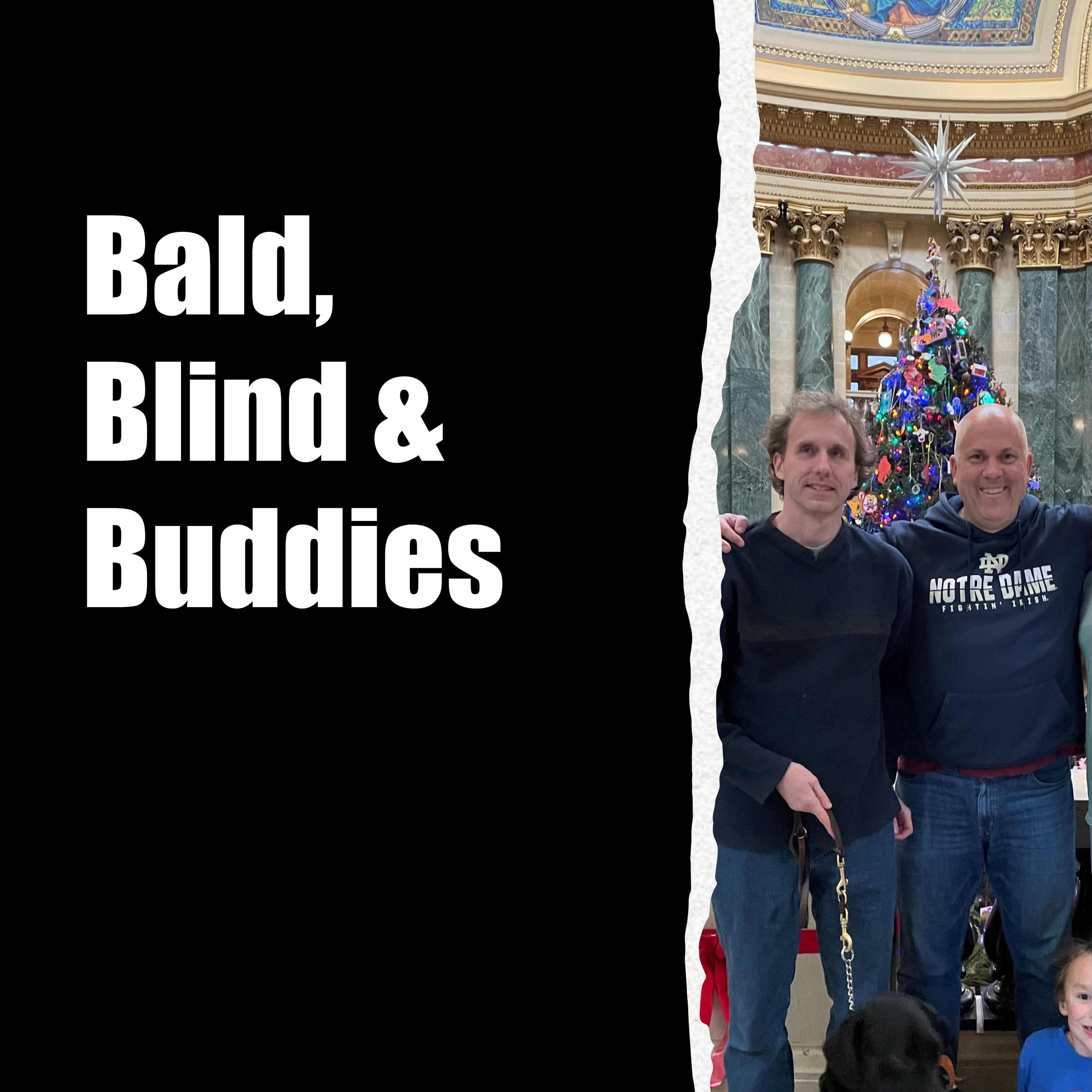 Bald, Blind, and Buddies Artwork