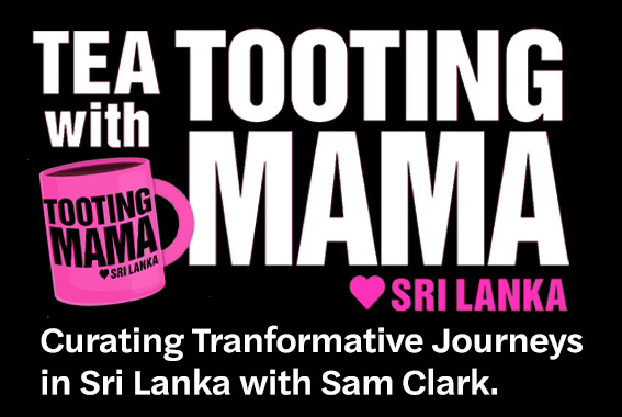 Sri Lankan Travel Stories: Curating Transformative Journeys in Sri Lanka