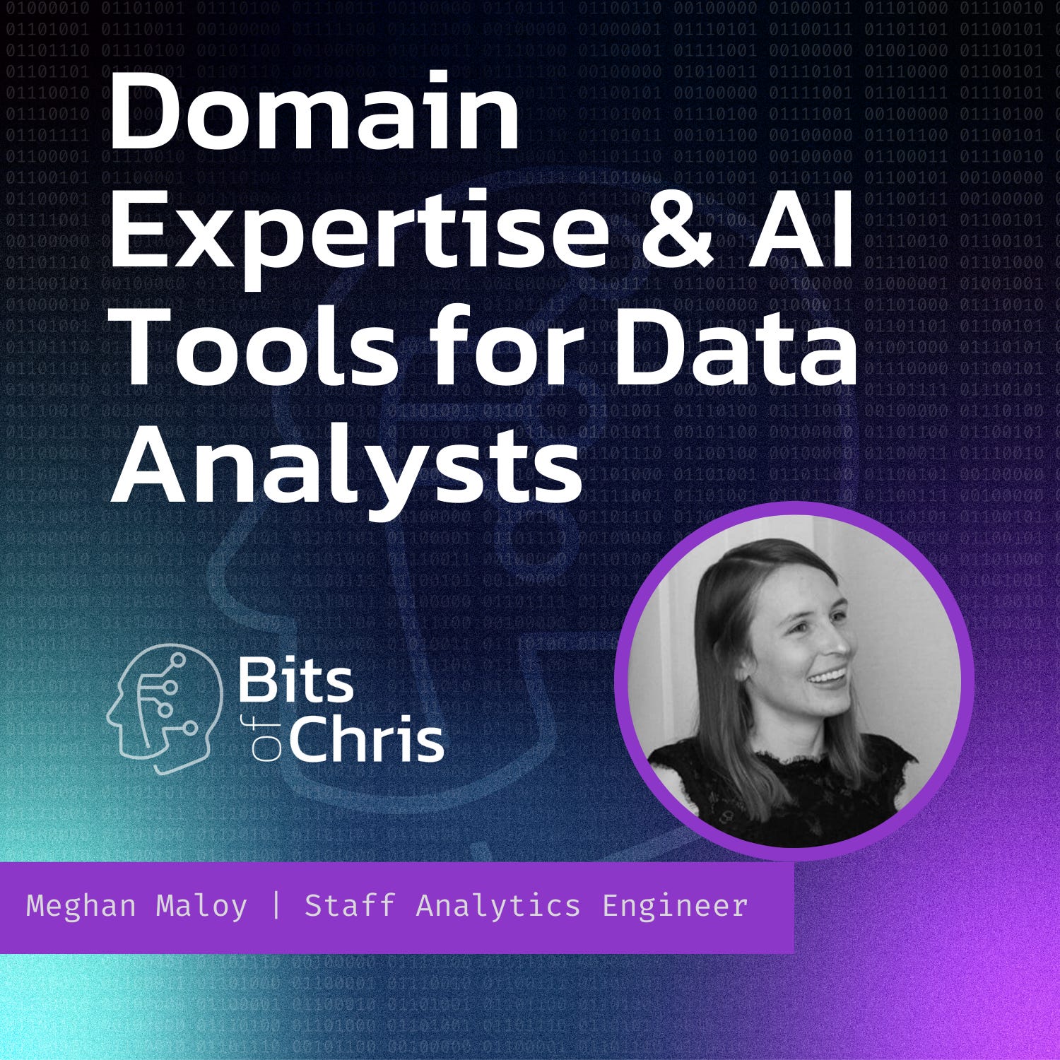 Domain Expertise and AI Tools for Data Analysts | Meghan Maloy, Staff Analytics Engineer