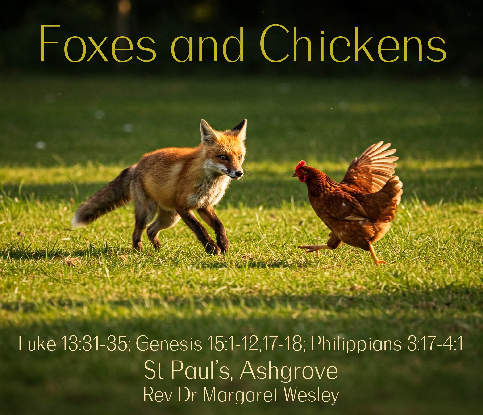 Foxes and Chickens episode artwork