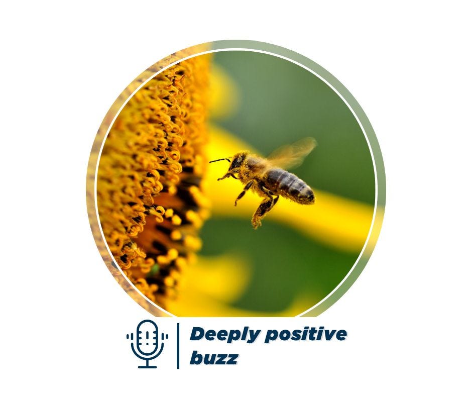 Deeply positive buzz