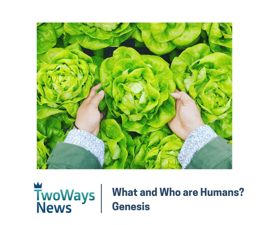 What and Who are Humans?