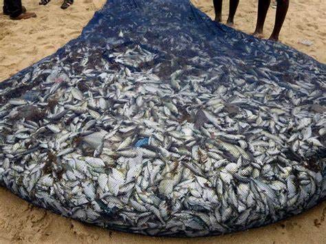 Is it right to plan for conversions?