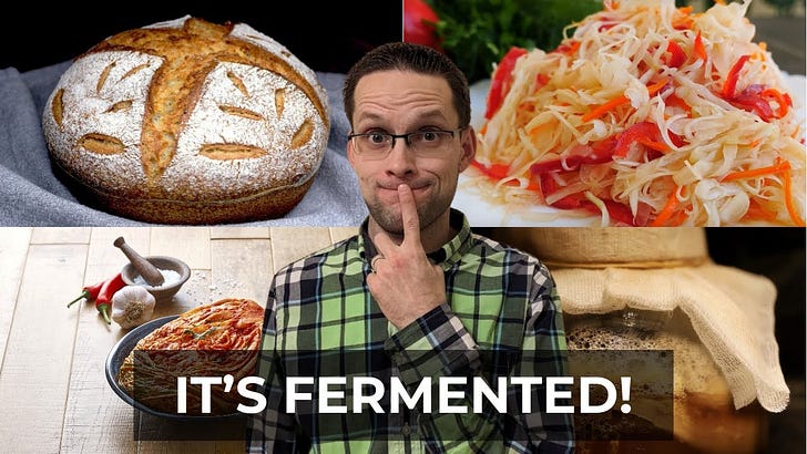 Kombucha, Sauerkraut, and More