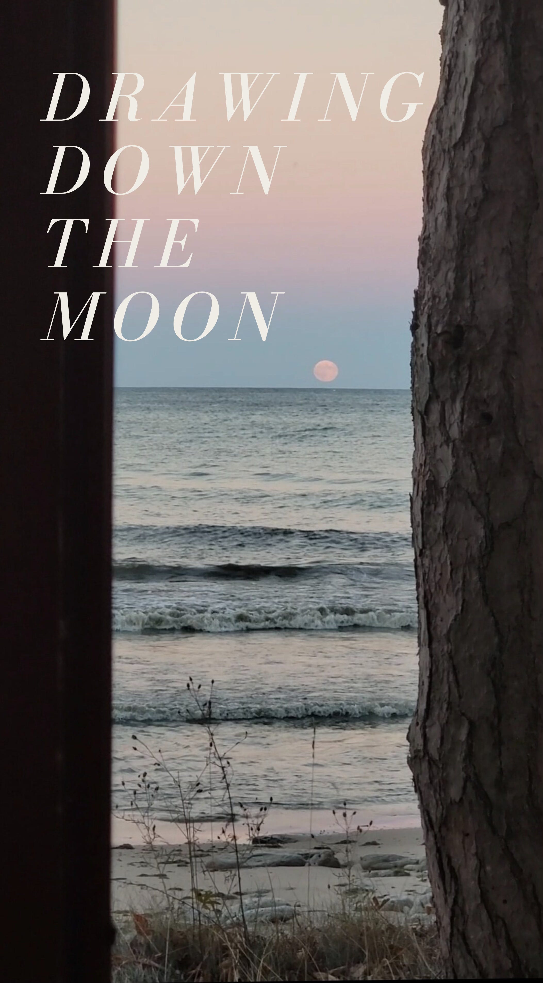 29. Drawing Down the Moon