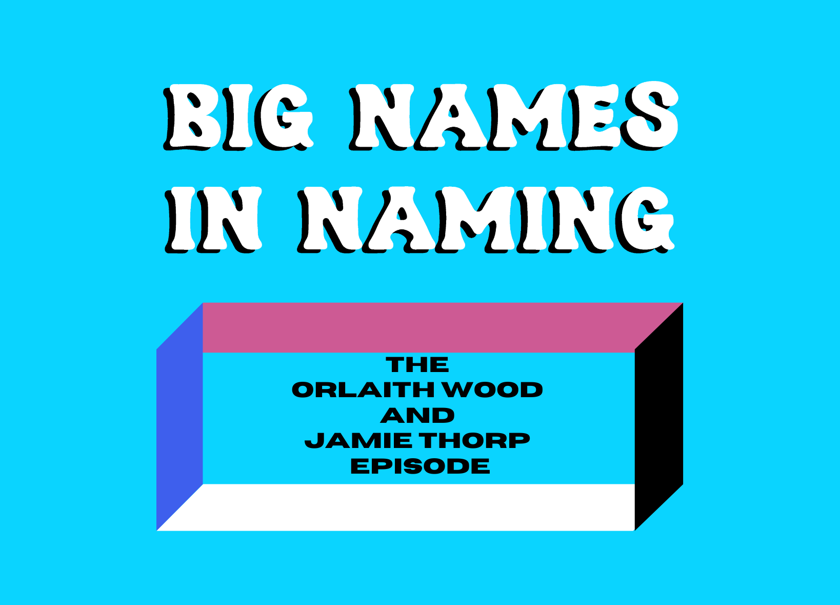 Big Names in Naming: A Naming for Everyone podcast