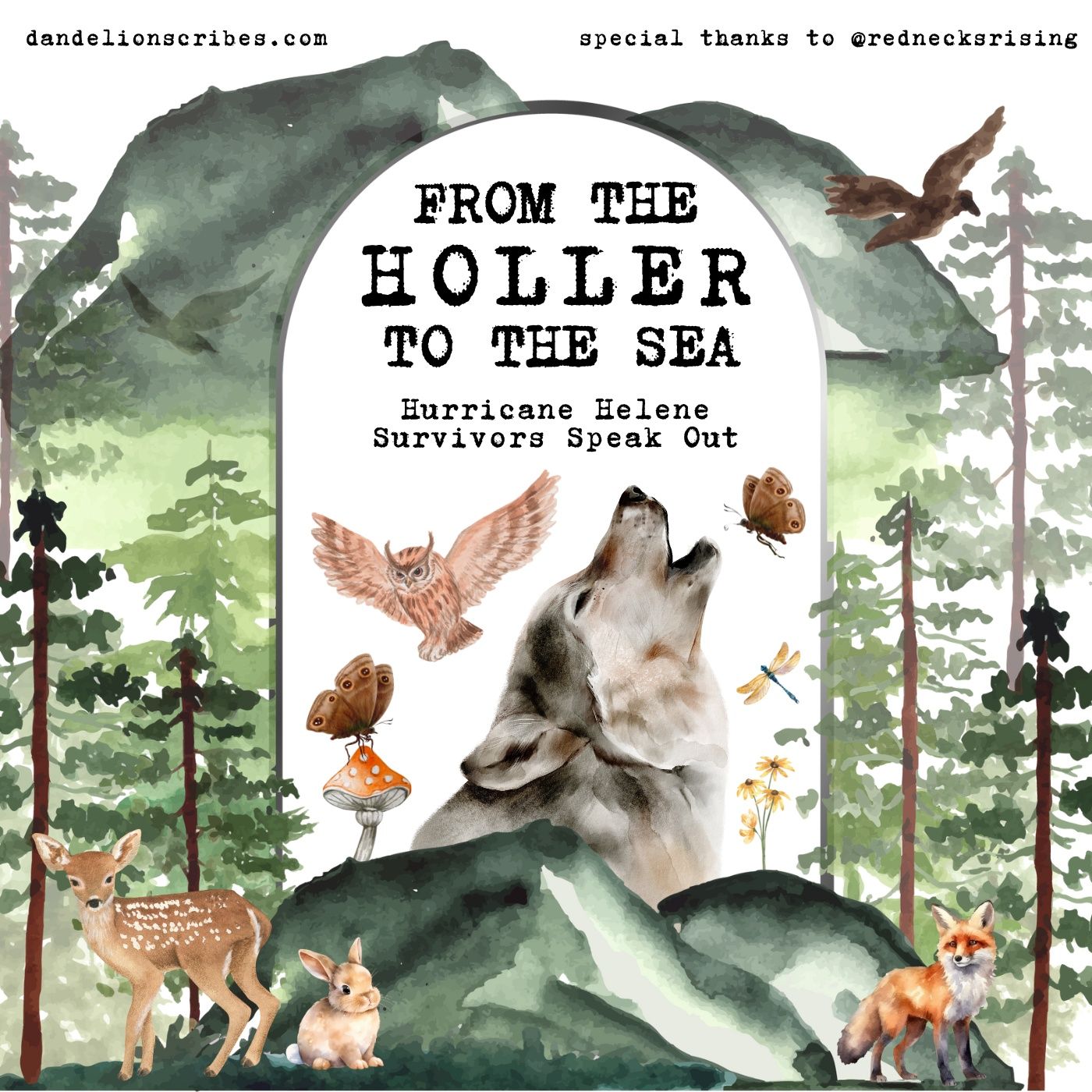 (Ep 37) From the Holler to the Sea: Interview w/ Cheyanne (TN)