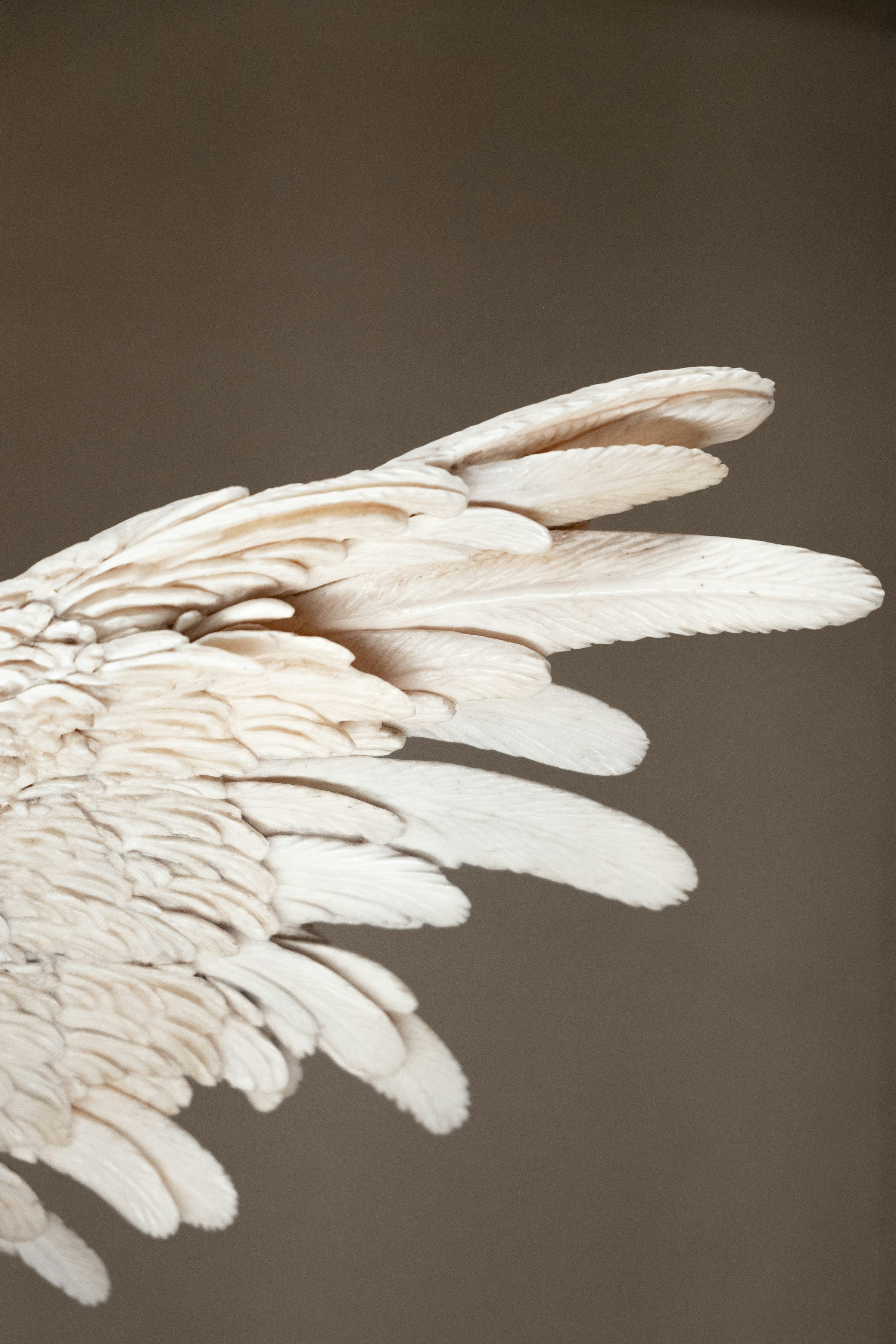 Poetry Reading | stolen wings are made of clay episode artwork