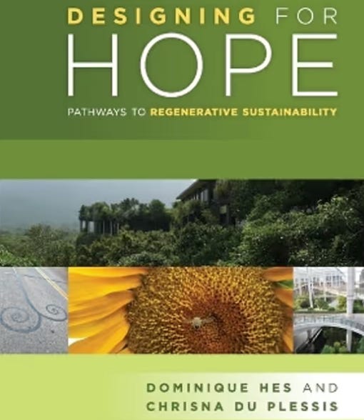 Beyond solutions — our story problem: Interview with Dr. Dominique Hes episode artwork