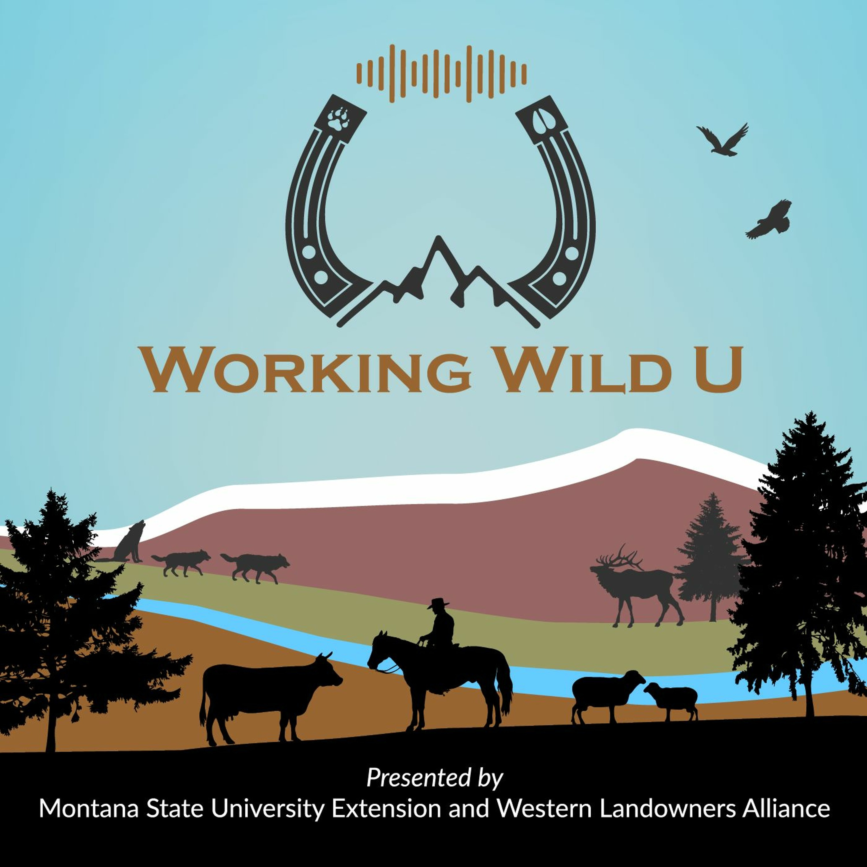Working Wild University