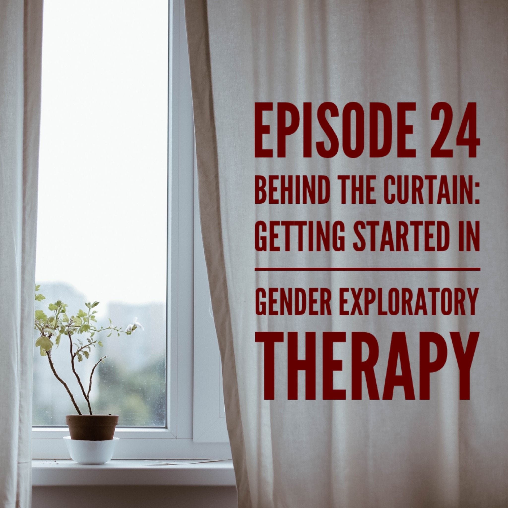 24 - Behind the Curtain: Getting Started In Gender Exploratory Therapy