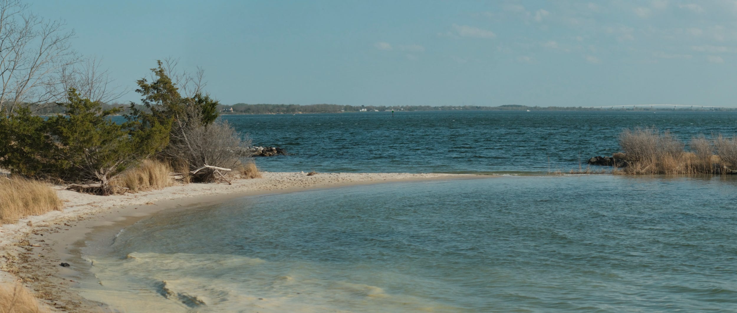 Perceval on Turtle Island  episode artwork