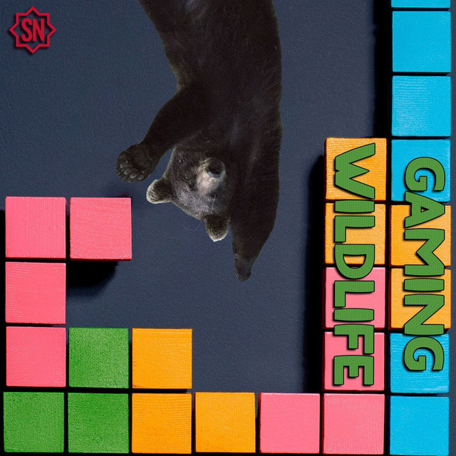 Gaming Wildlife 2 Ep.9 - Il mio 2025 videoludico pt.1