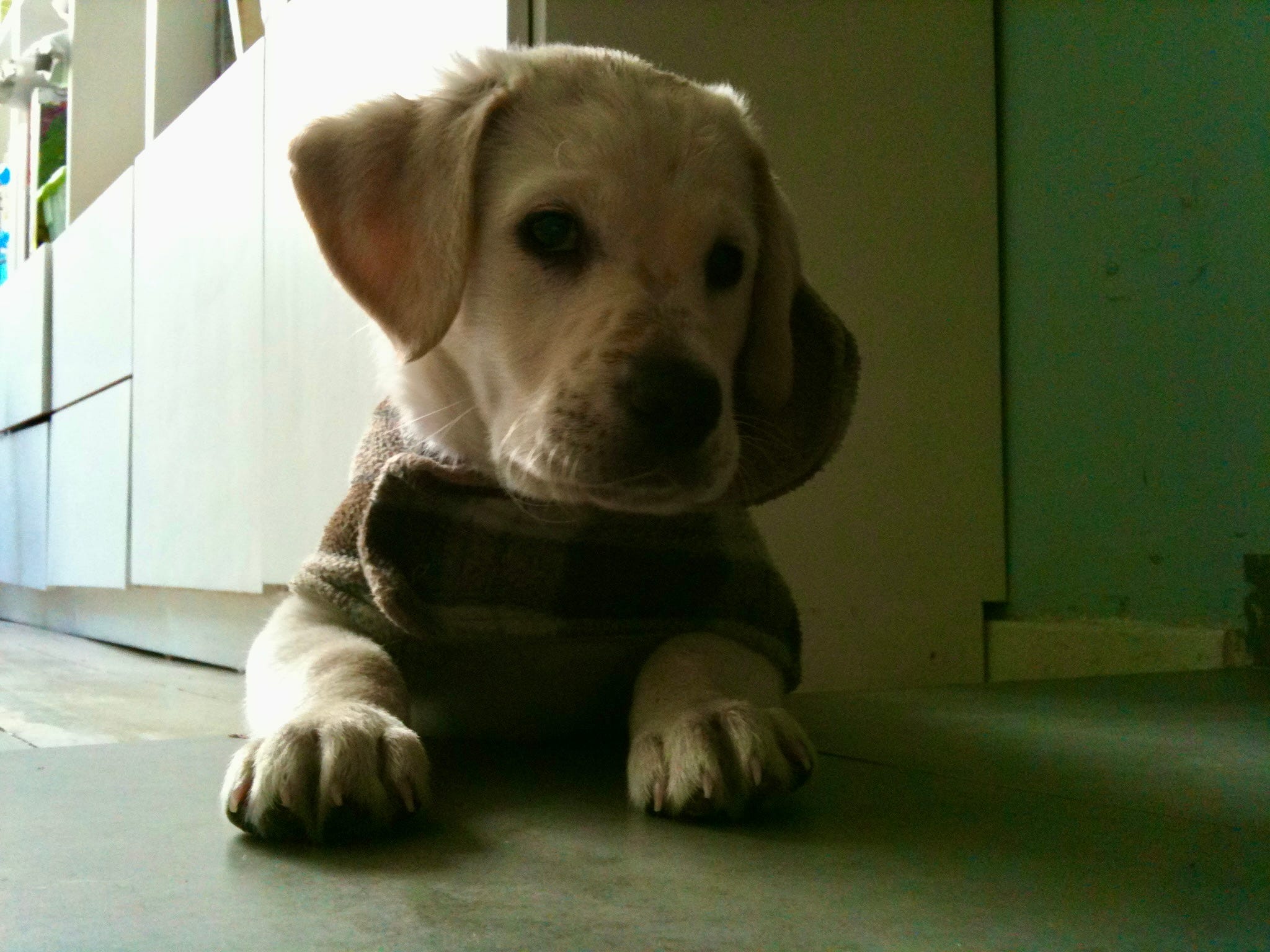 The Time Capsule Podcast