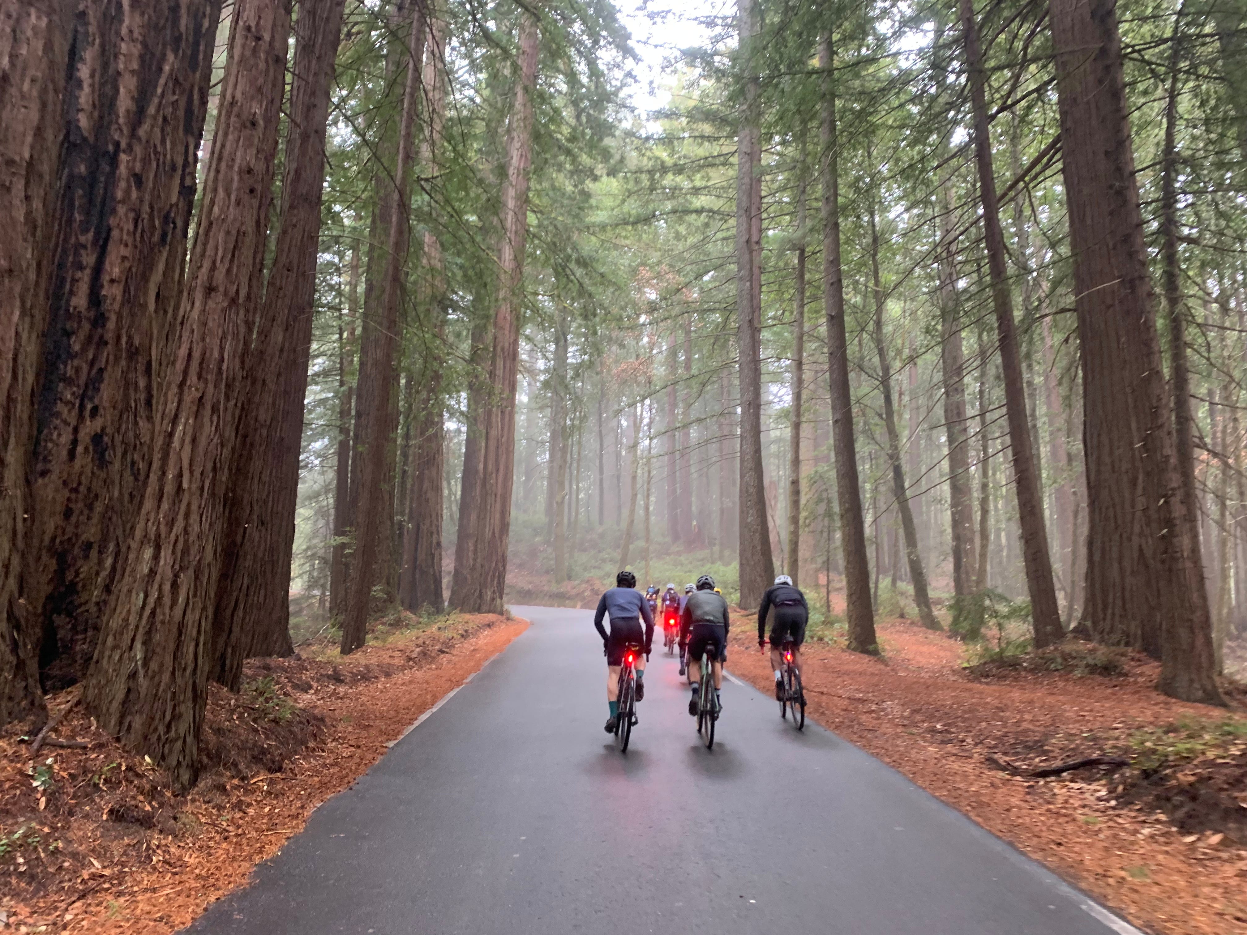 #19 Do I want to be the one deciding this? #19 Do I want to be the one deciding this?