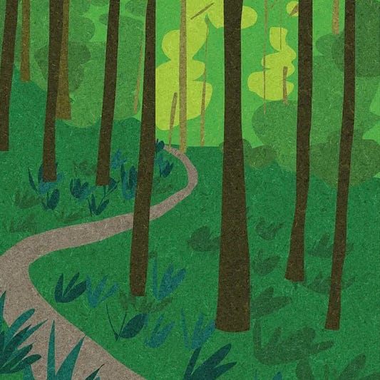 Wildwood Trail Soundwalk  episode artwork