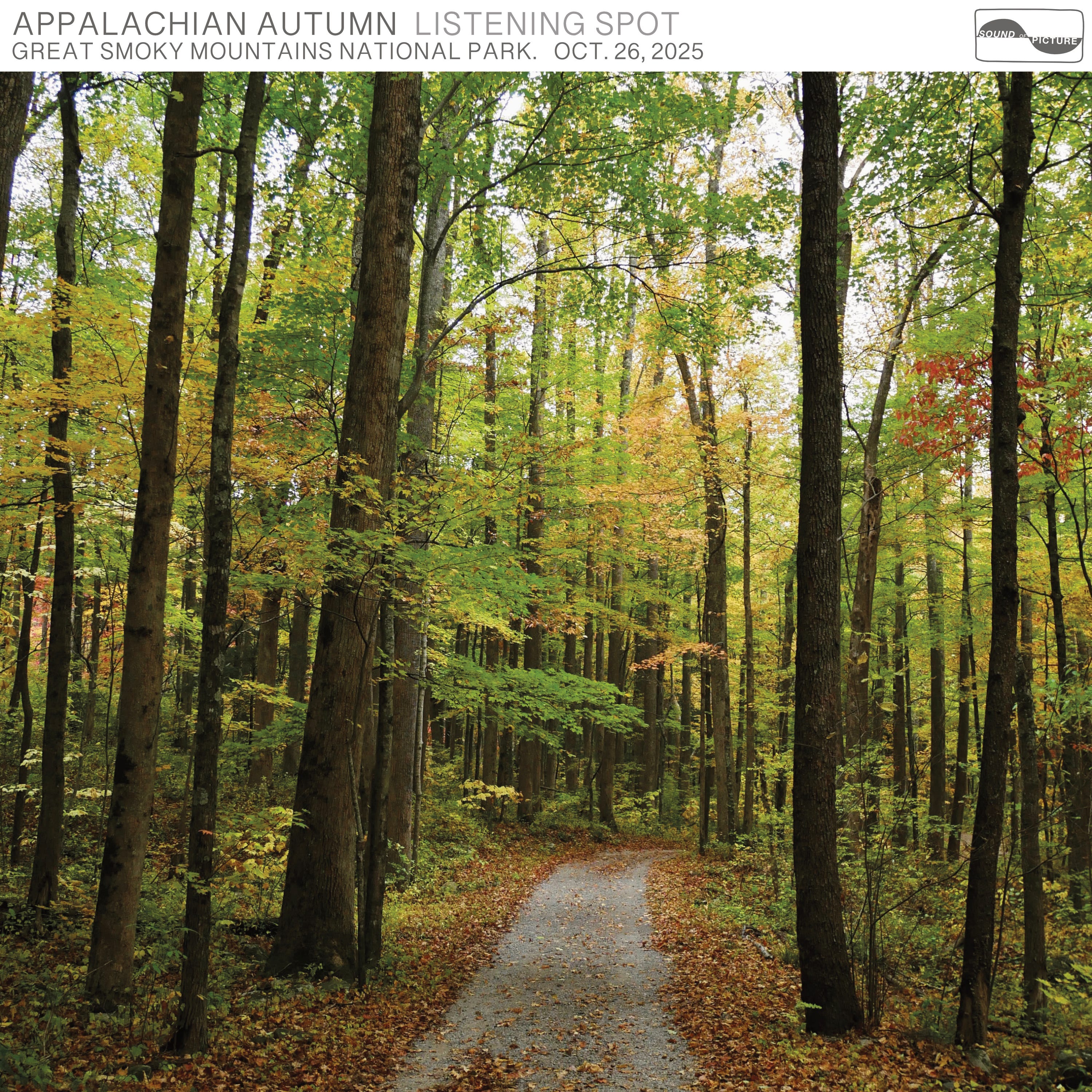 Appalachian Autumn episode artwork