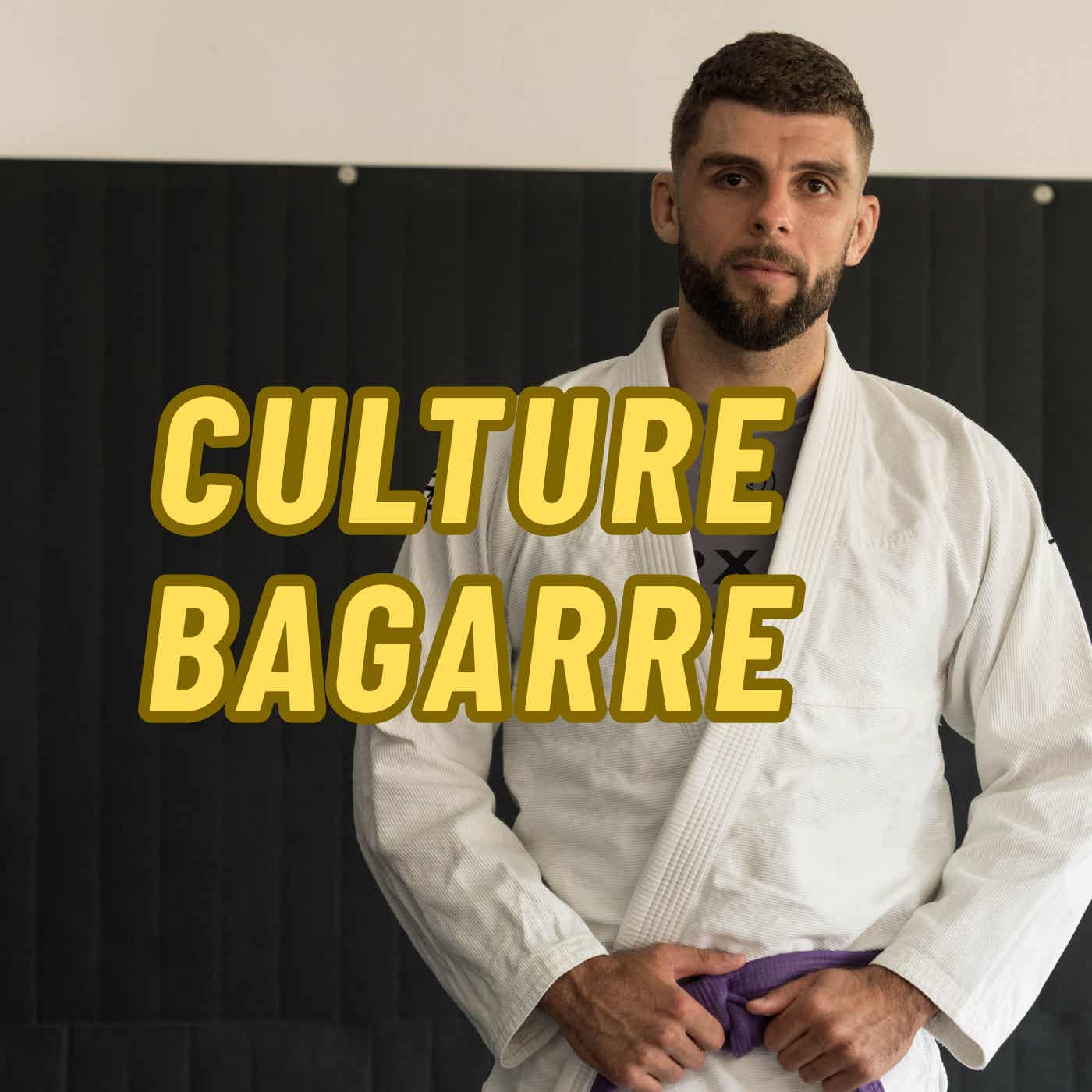Culture Bagarre