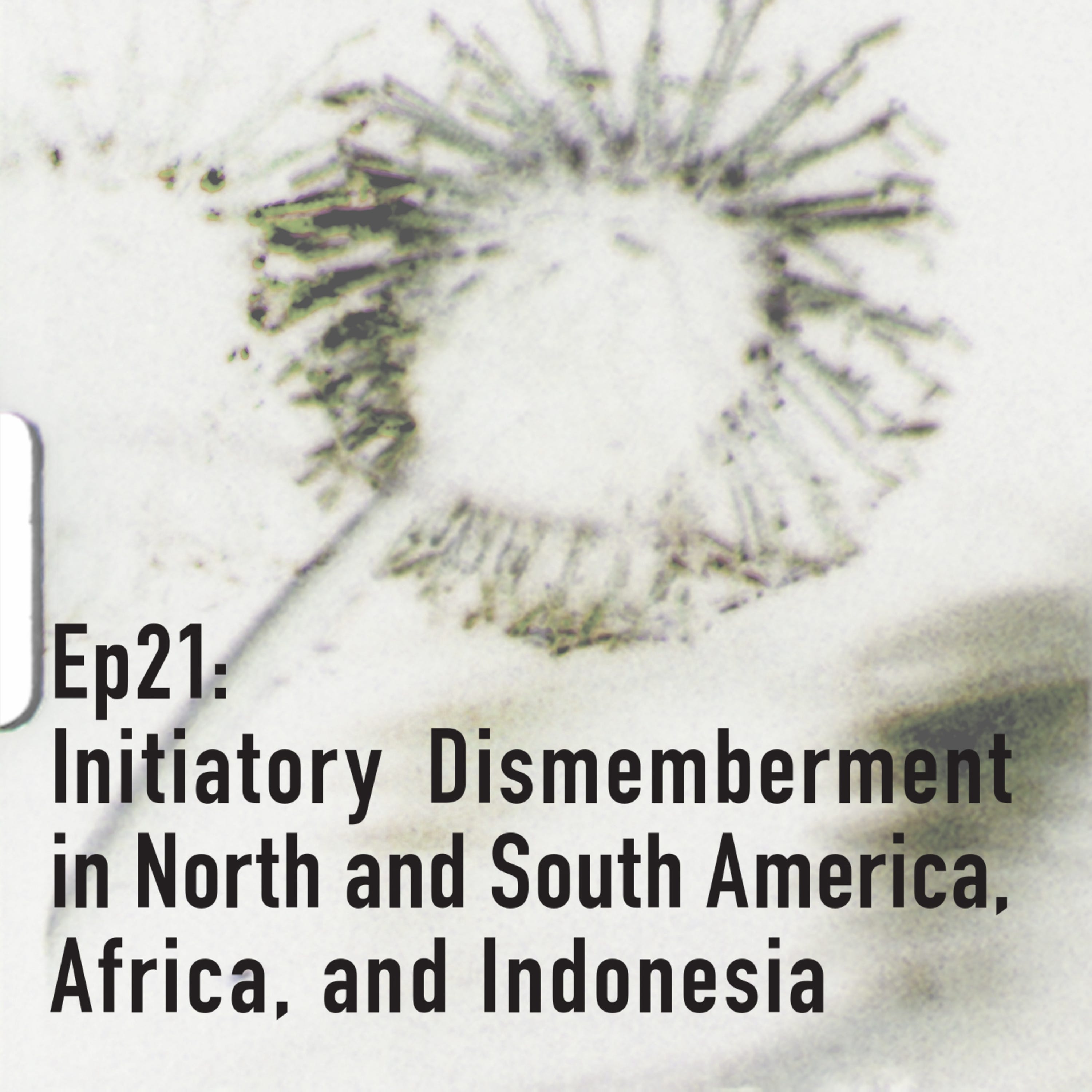 Initiatory Dismemberment in North and South America, Africa, and Indonesia episode artwork