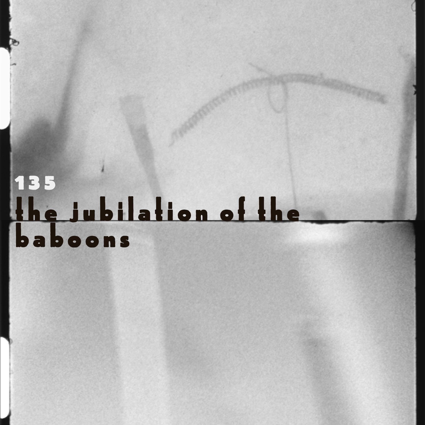 the jubilation of the baboons episode artwork