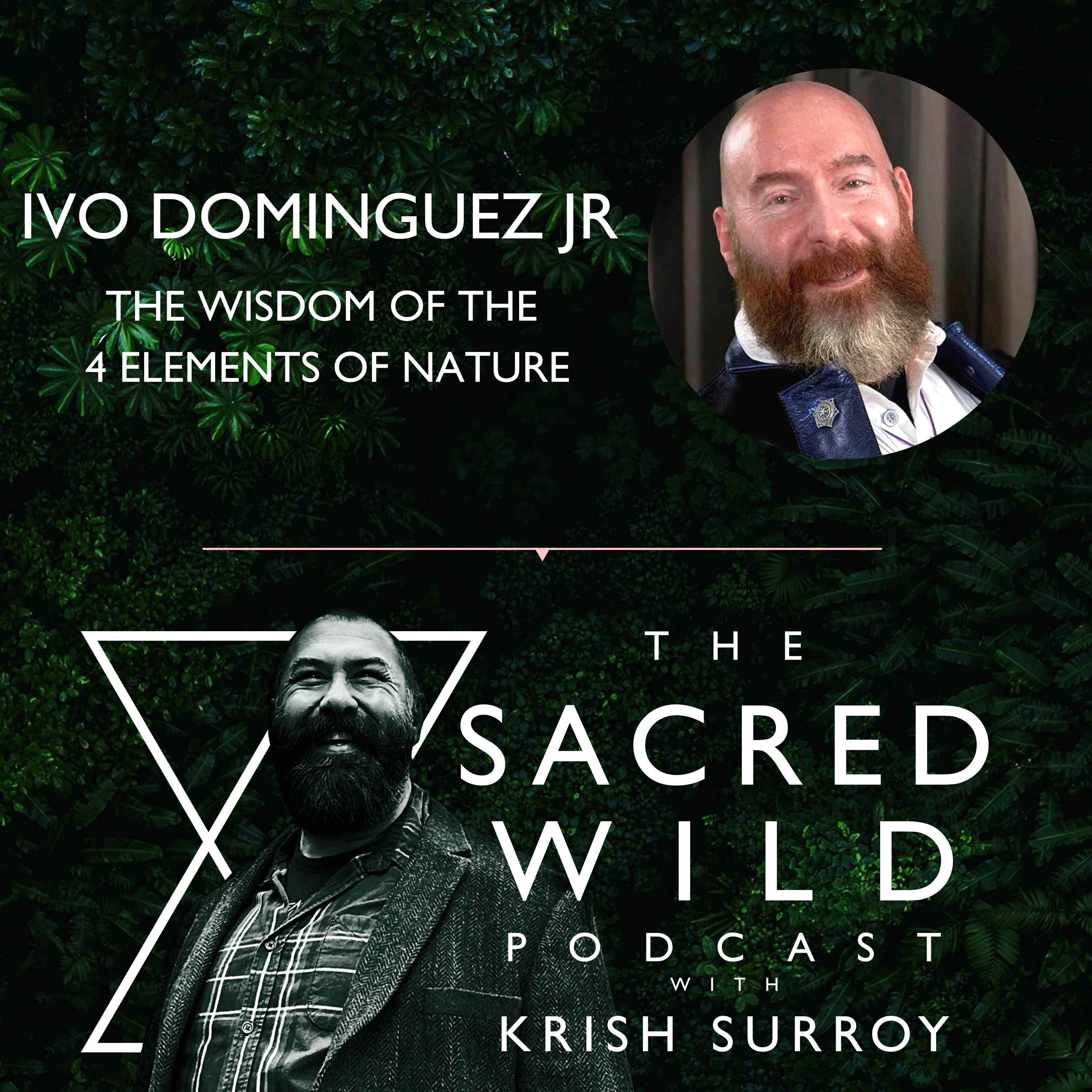 The Sacred Wild Podcast